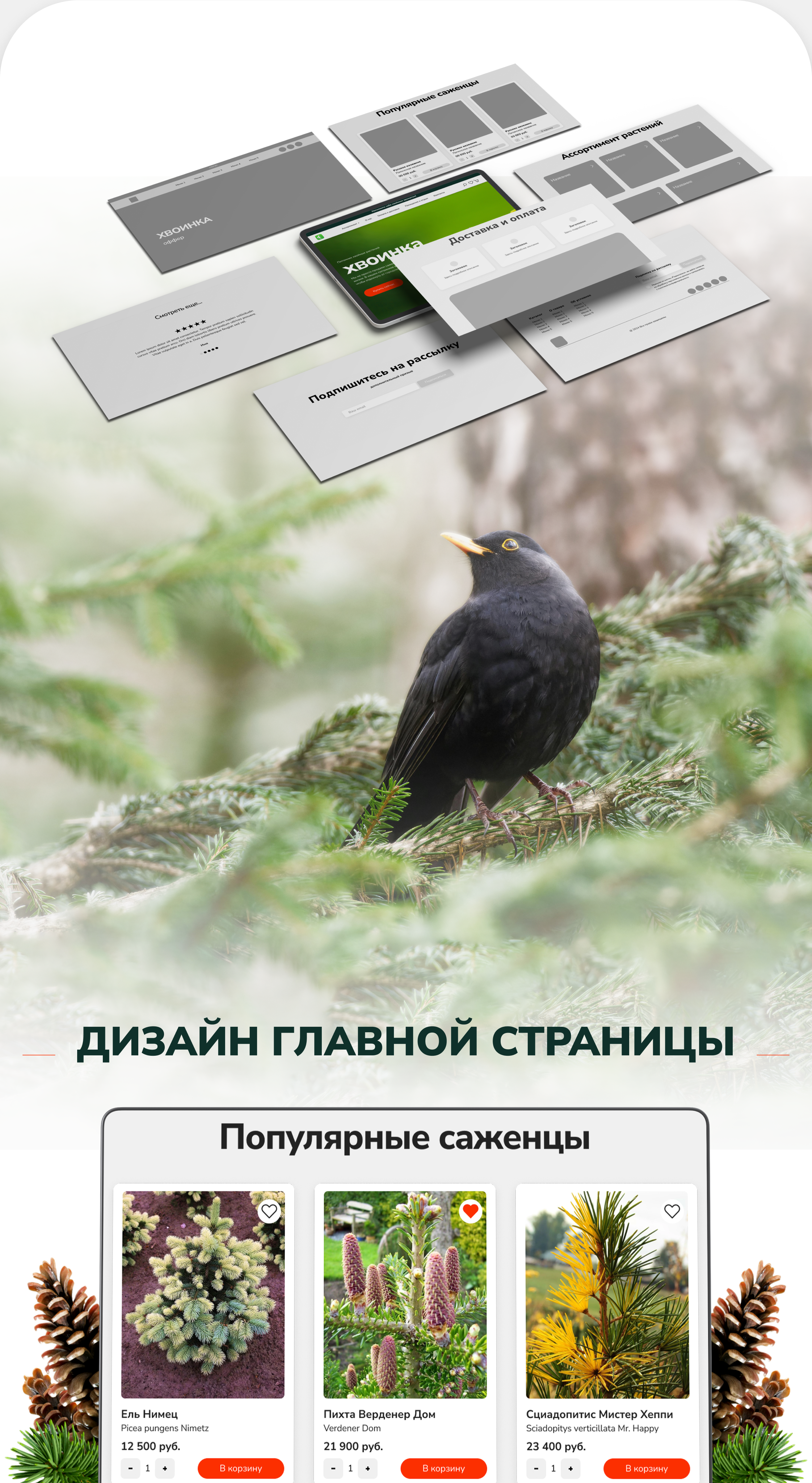 Дизайн интернет-магазина — Изображение №2 — Графика на Dprofile
