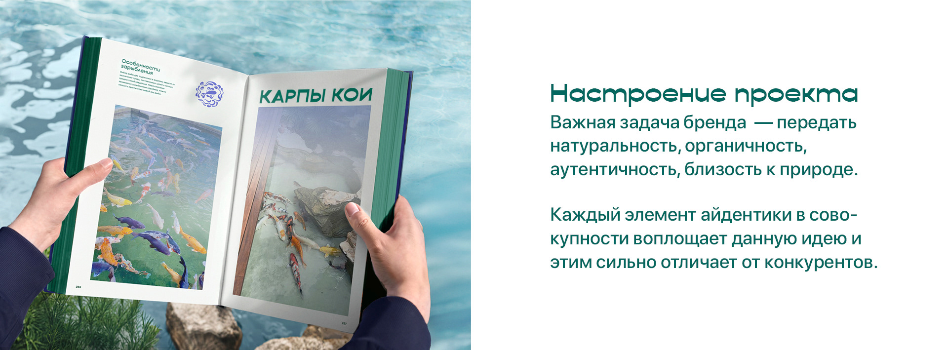 Айдентика для компании по устройству водоёмов — Изображение №10 — Брендинг, Графика на Dprofile