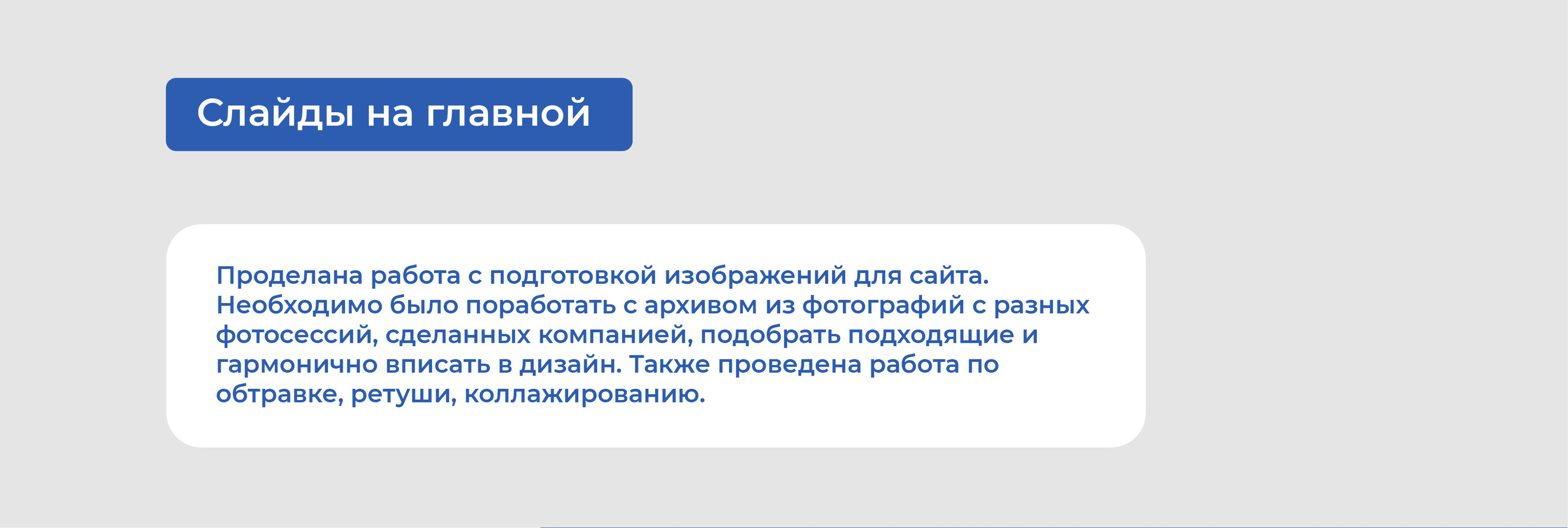 Ребрендинг + сайт для компании "Школьное фото" — Изображение №17 — Брендинг, Иллюстрация на Dprofile