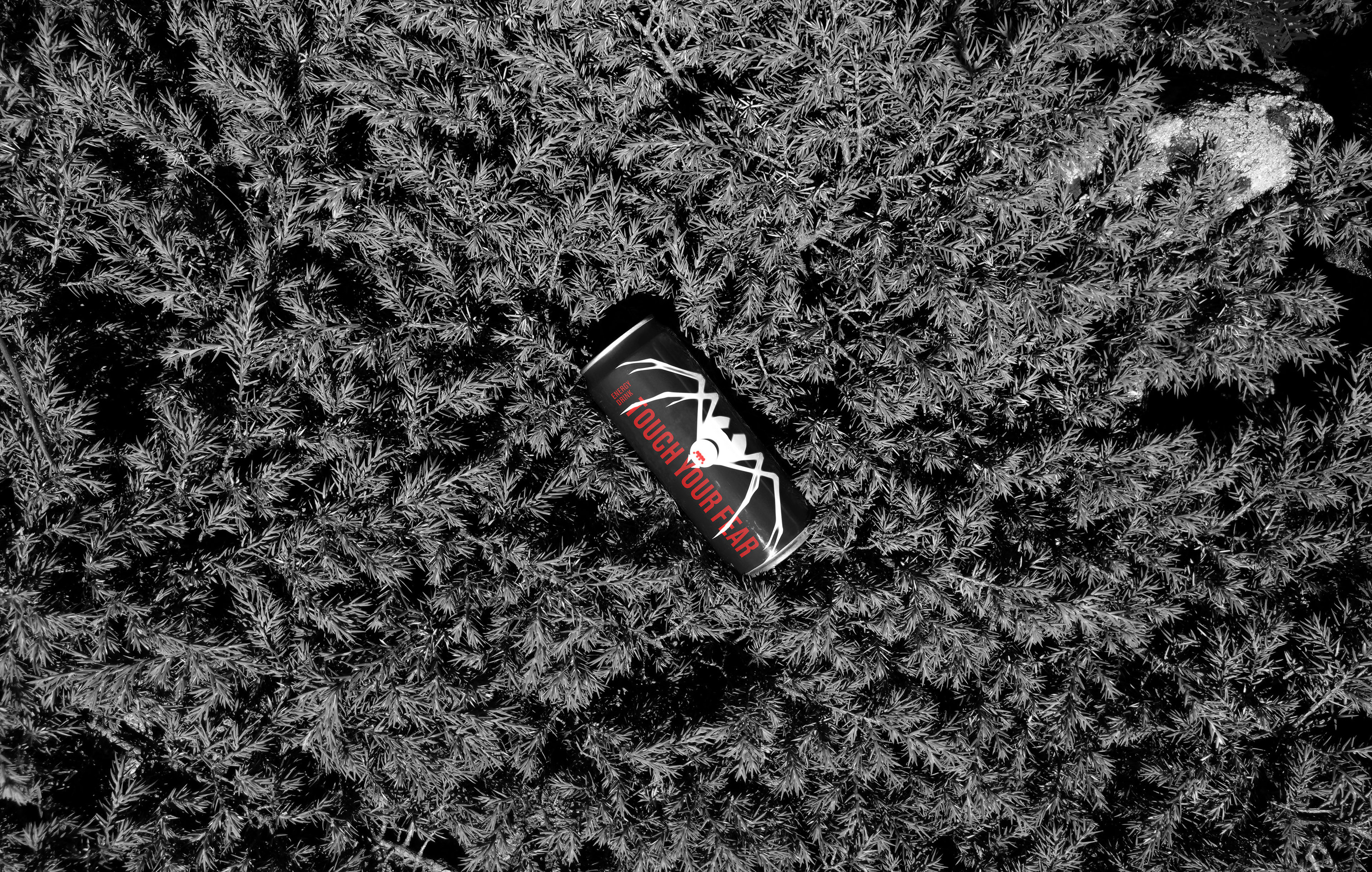 TOUCH YOUR FEAR. Упаковка энергетического напитка — Изображение №4 — Брендинг, Графика на Dprofile