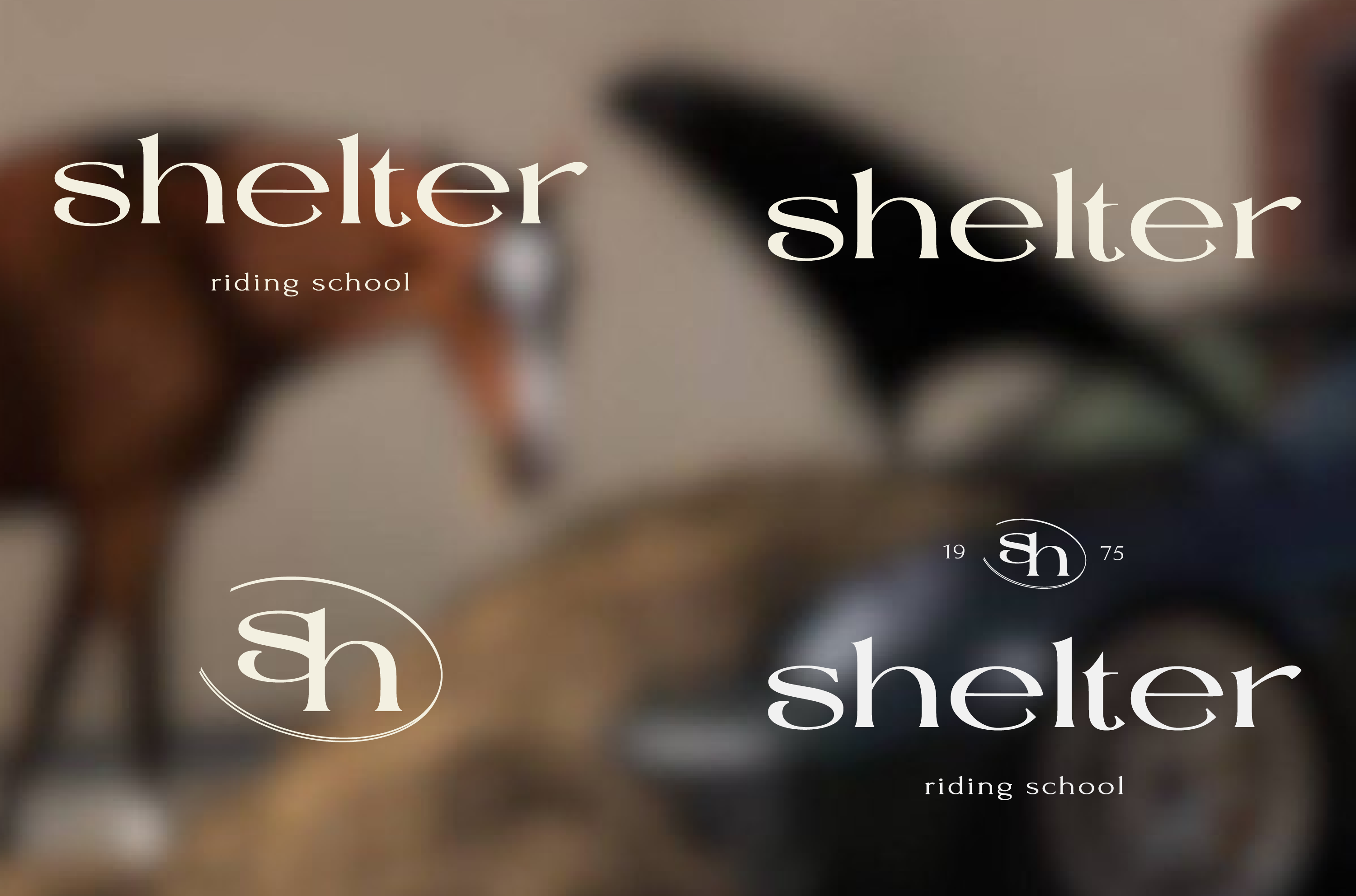 Shelter | brand identity for riding school — Изображение №2 — Брендинг, Графика на Dprofile
