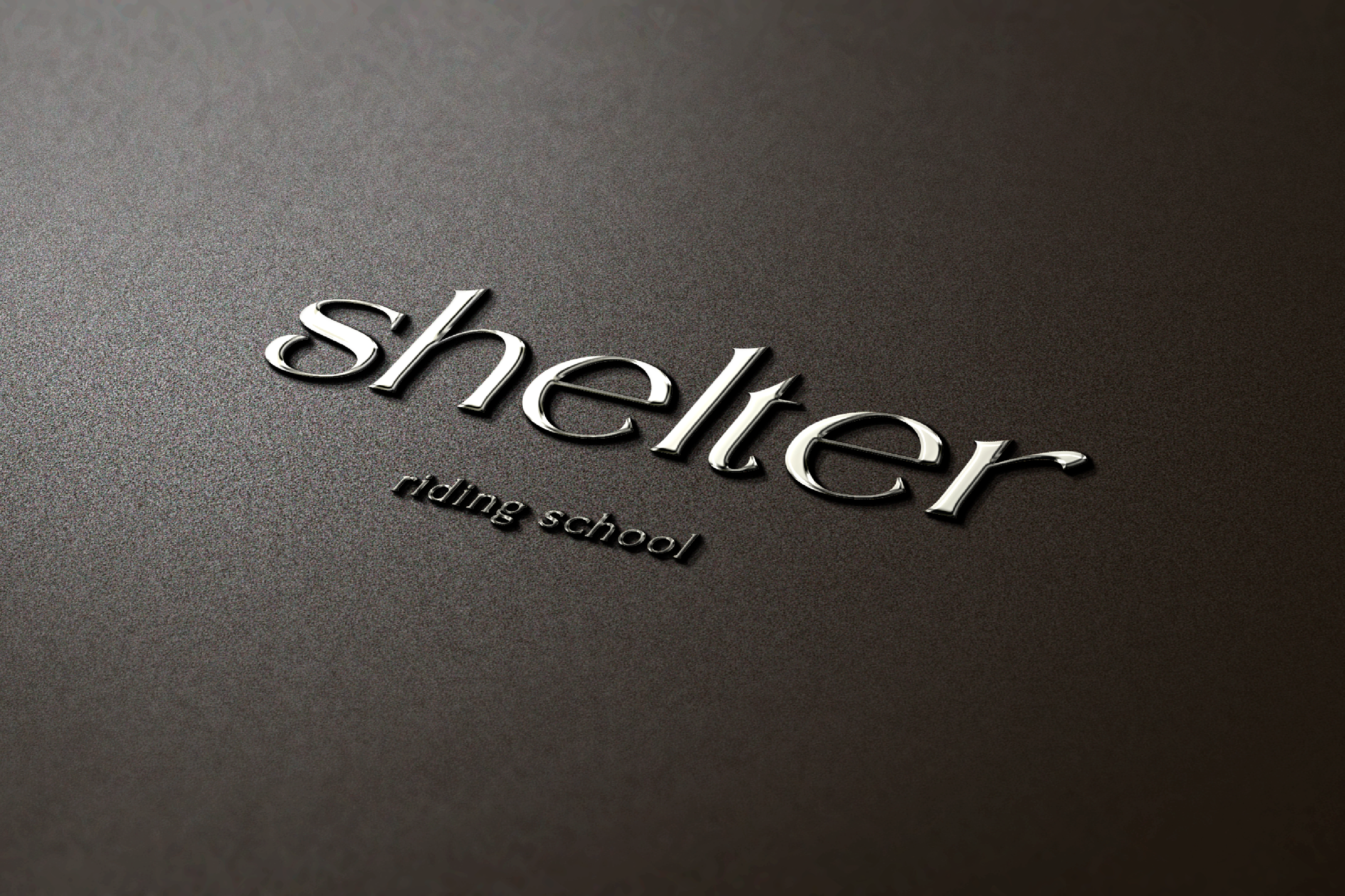Shelter | brand identity for riding school — Изображение №9 — Брендинг, Графика на Dprofile