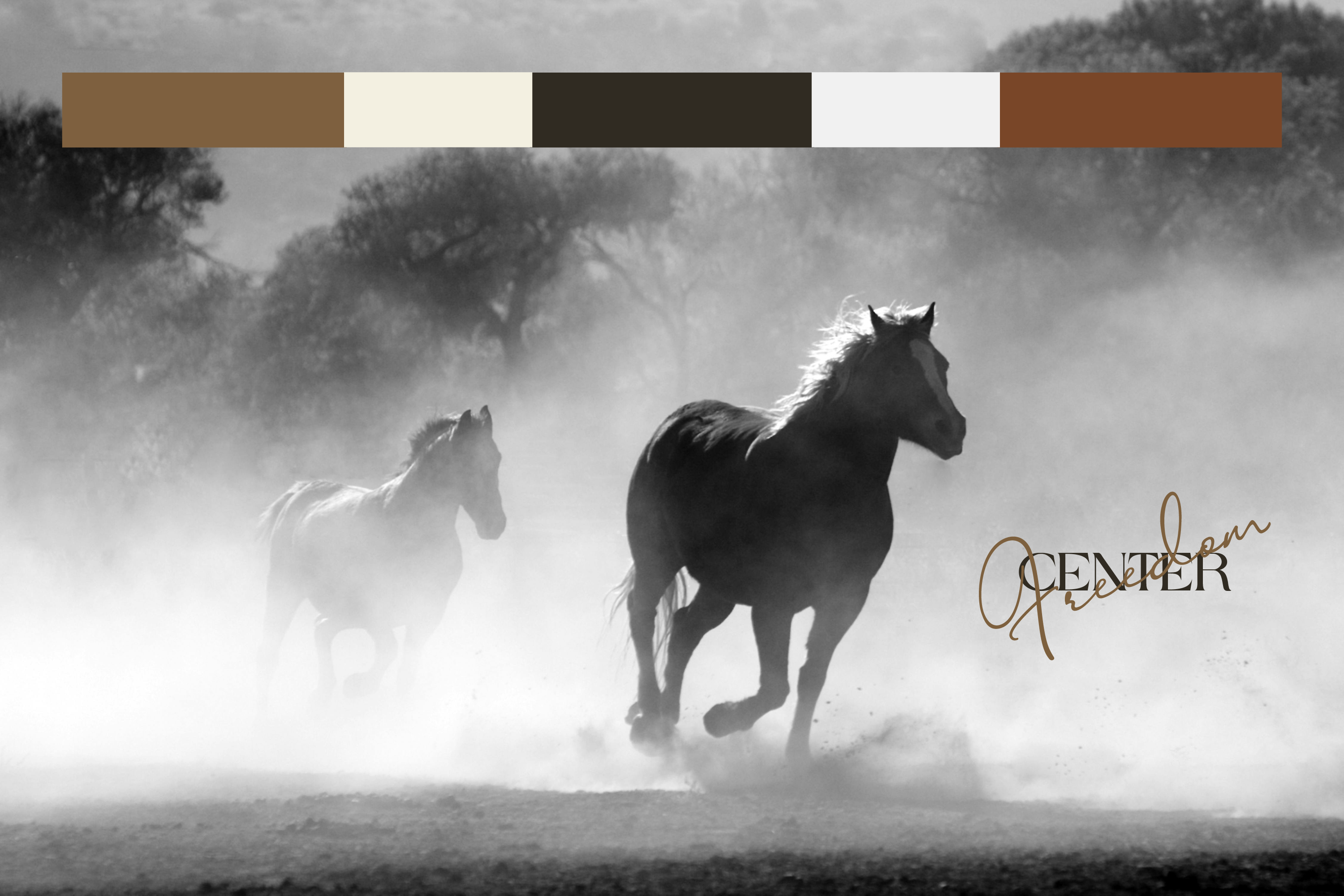 Shelter | brand identity for riding school — Изображение №5 — Брендинг, Графика на Dprofile
