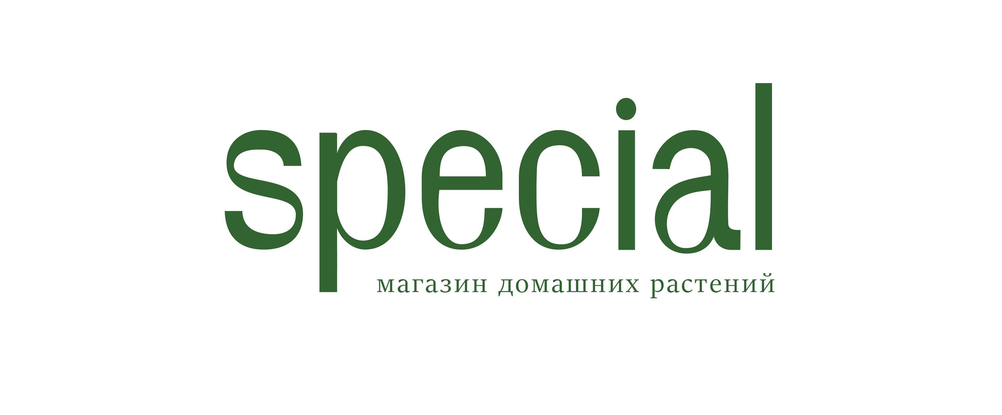 Special | фирменный стиль, логотип, полиграфия — Изображение №3 — Брендинг на Dprofile
