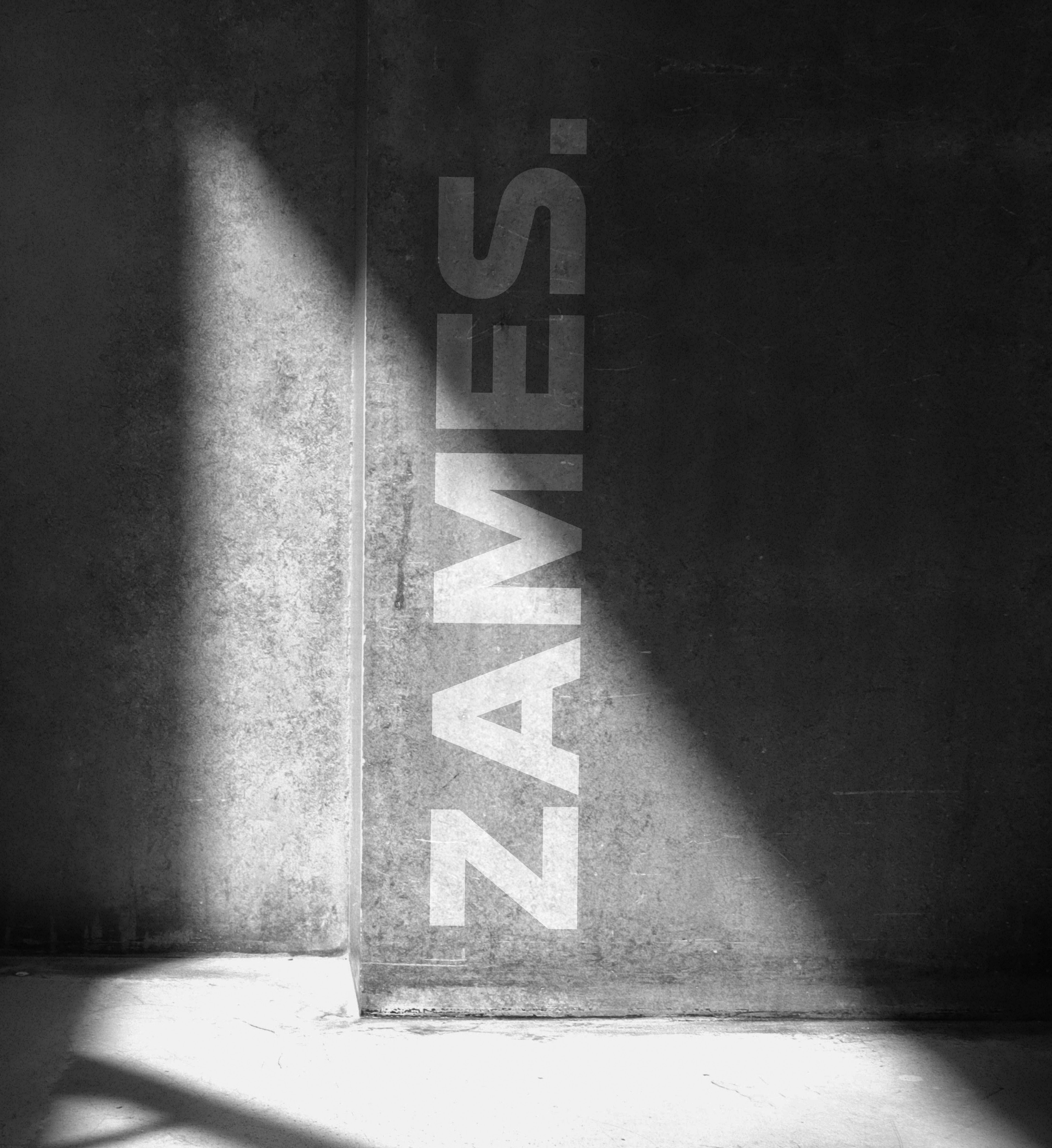 ZAMES. — branding & identity — Изображение №11 — Брендинг на Dprofile