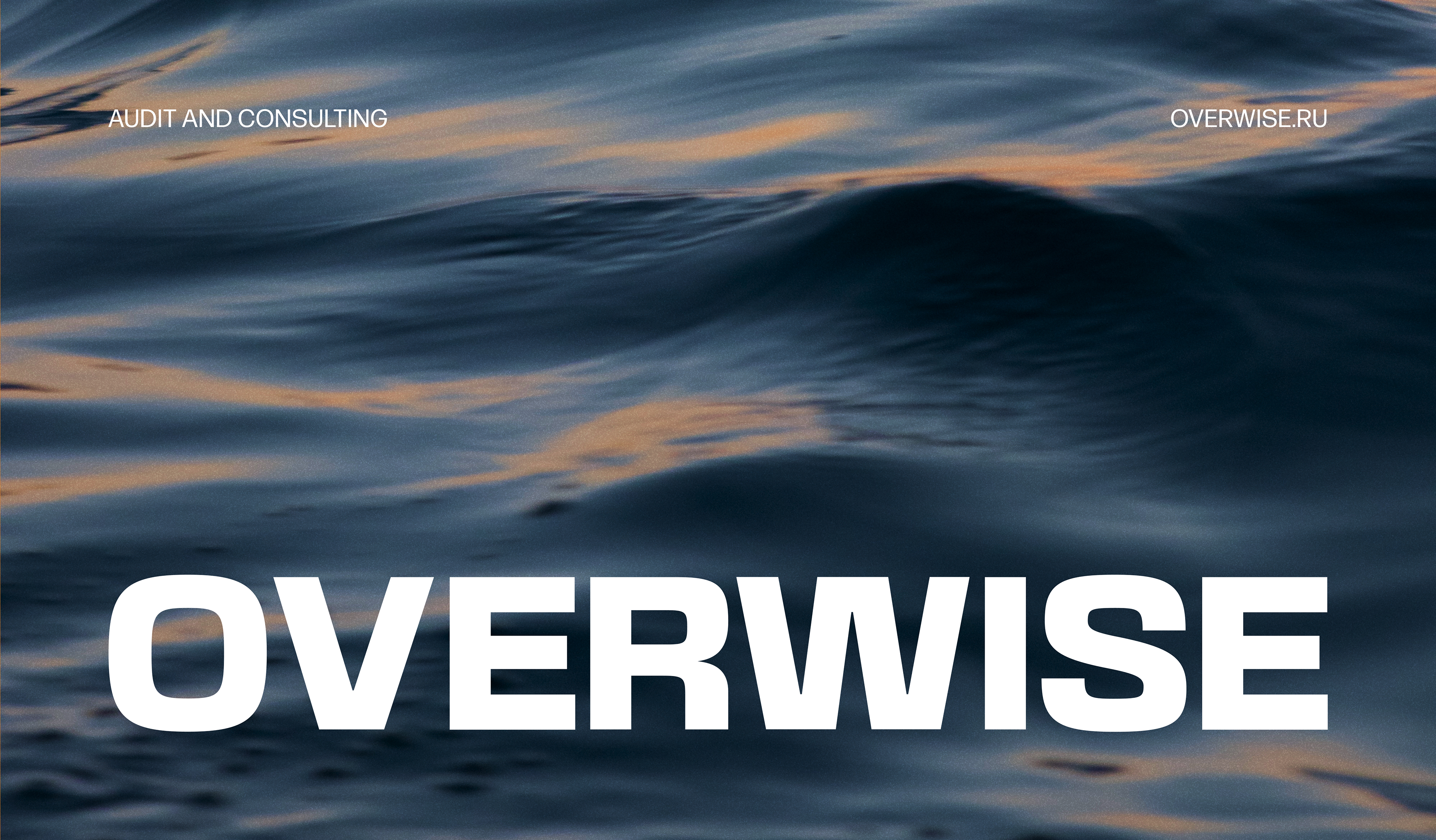 OVERWISE — identity & naming — Изображение №1 — Брендинг на Dprofile