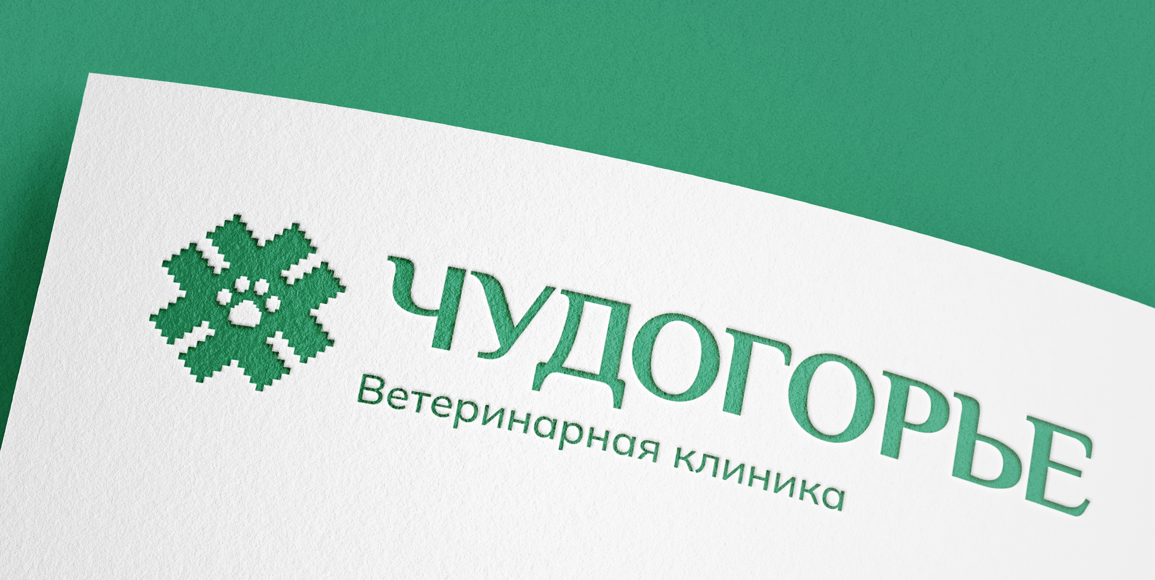 Chudogorye — branding & identity — Изображение №15 — Брендинг на Dprofile