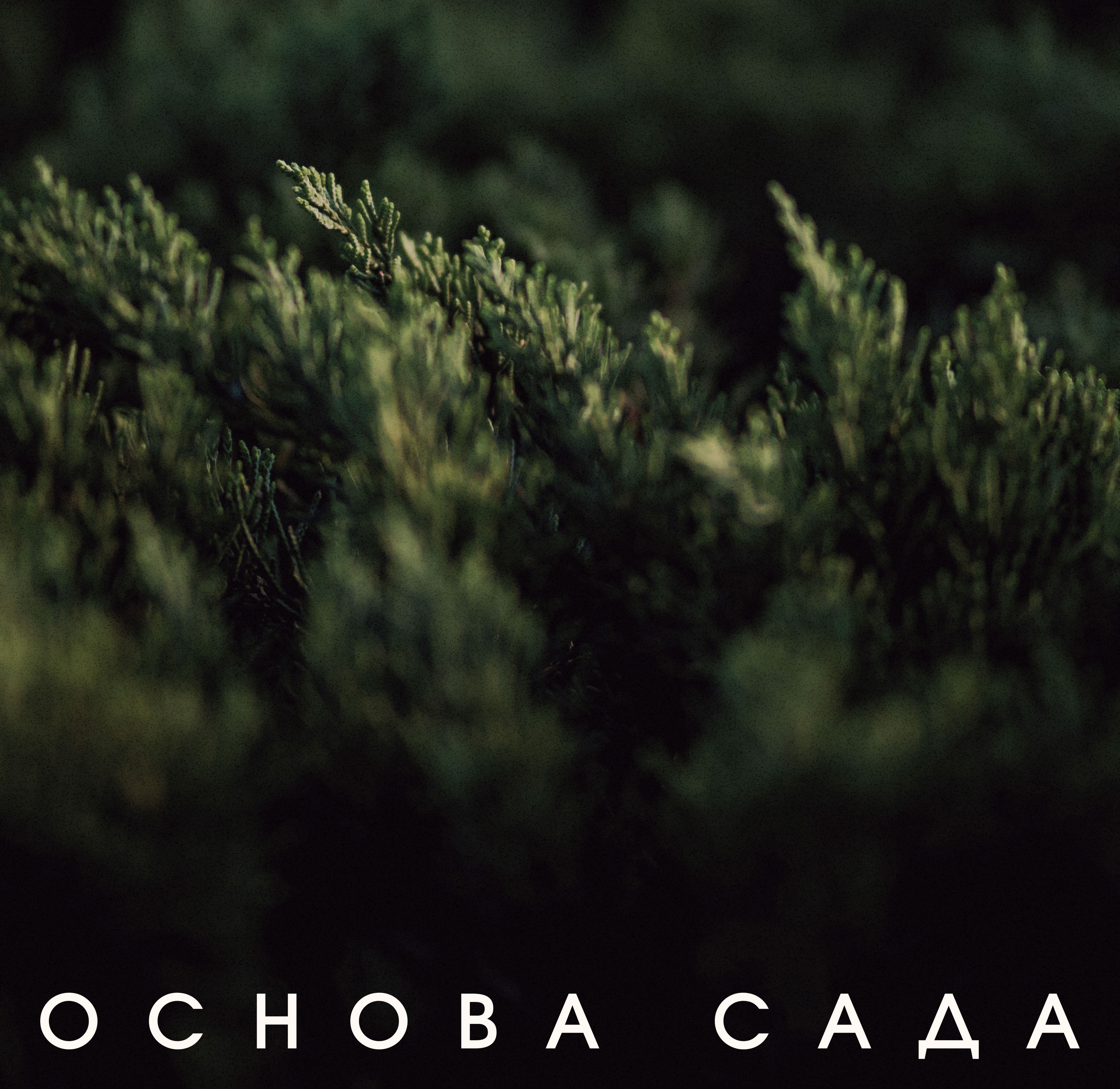 Основа сада — айдентика — Изображение №1 — Брендинг на Dprofile