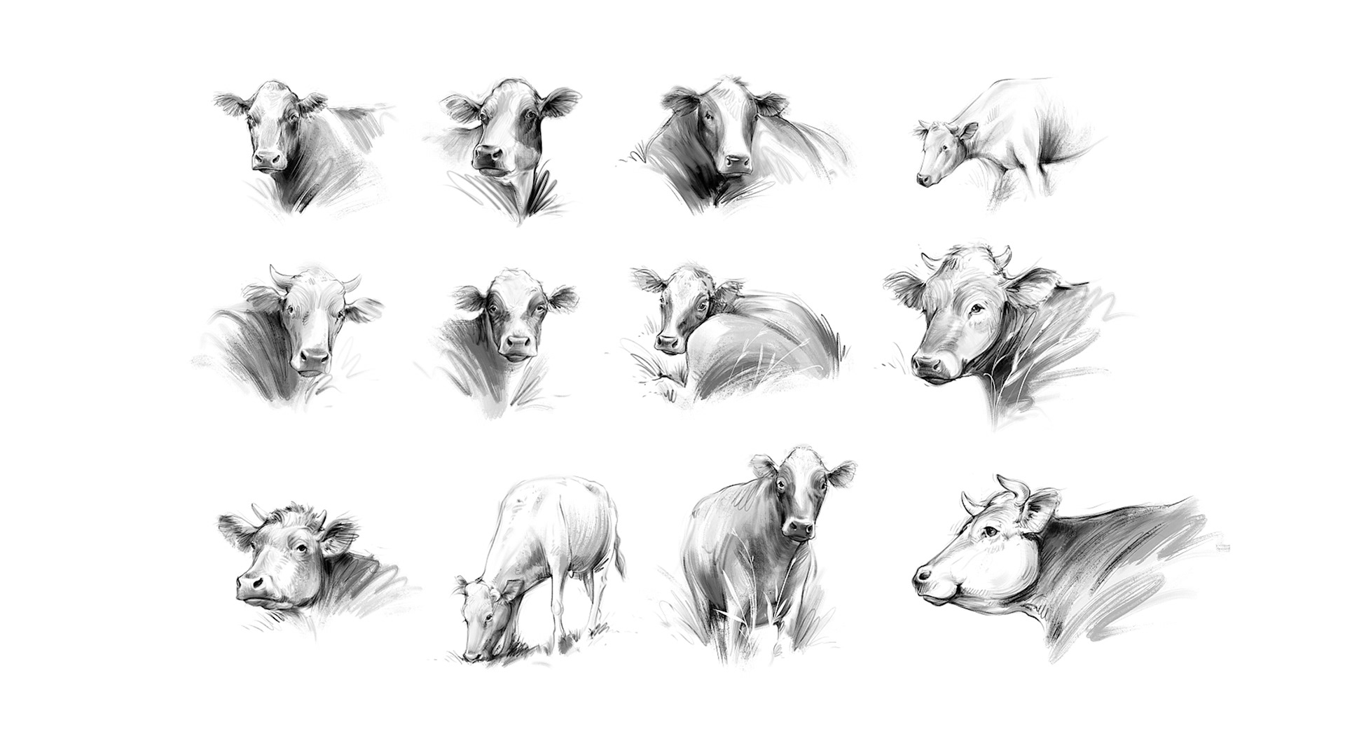Dairy products design — Изображение №33 — Брендинг, Иллюстрация на Dprofile