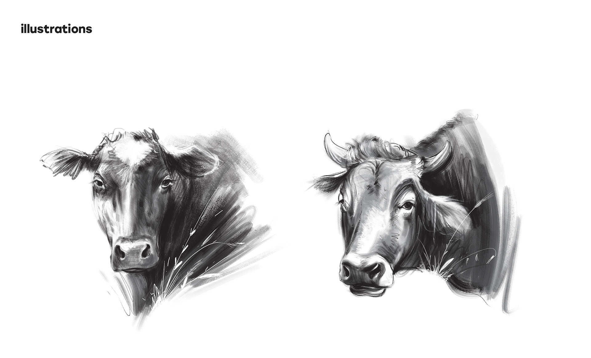 Dairy products design — Изображение №15 — Брендинг, Иллюстрация на Dprofile