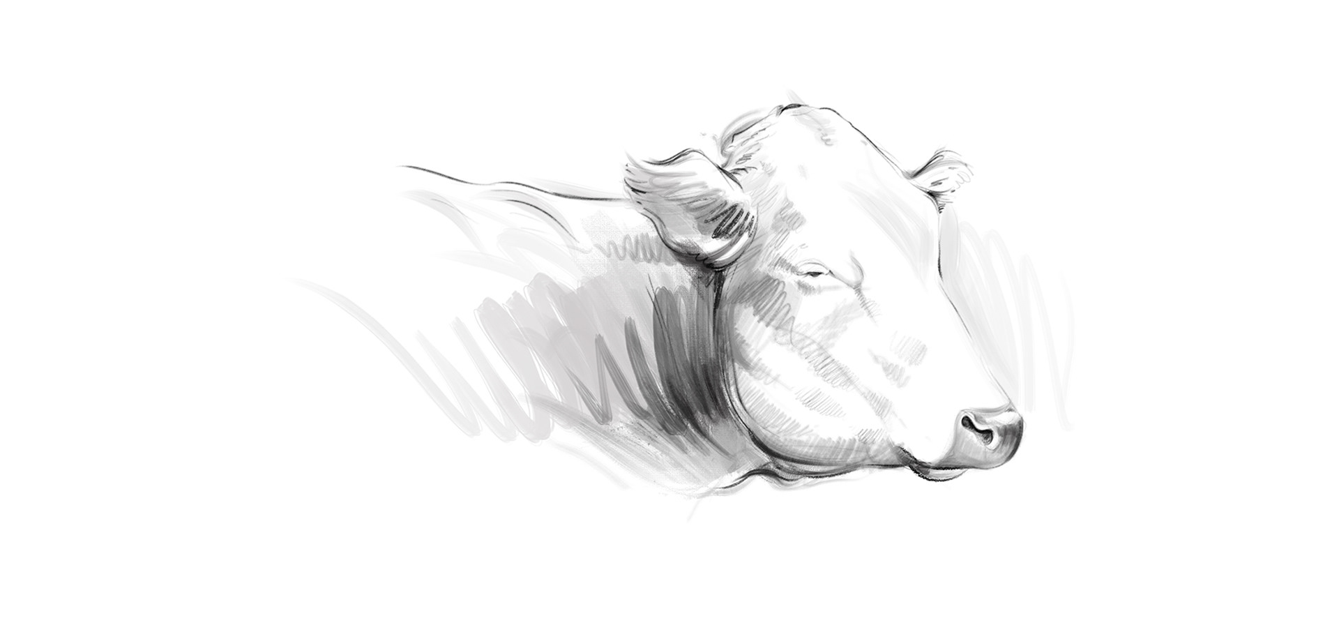 Dairy products design — Изображение №32 — Брендинг, Иллюстрация на Dprofile