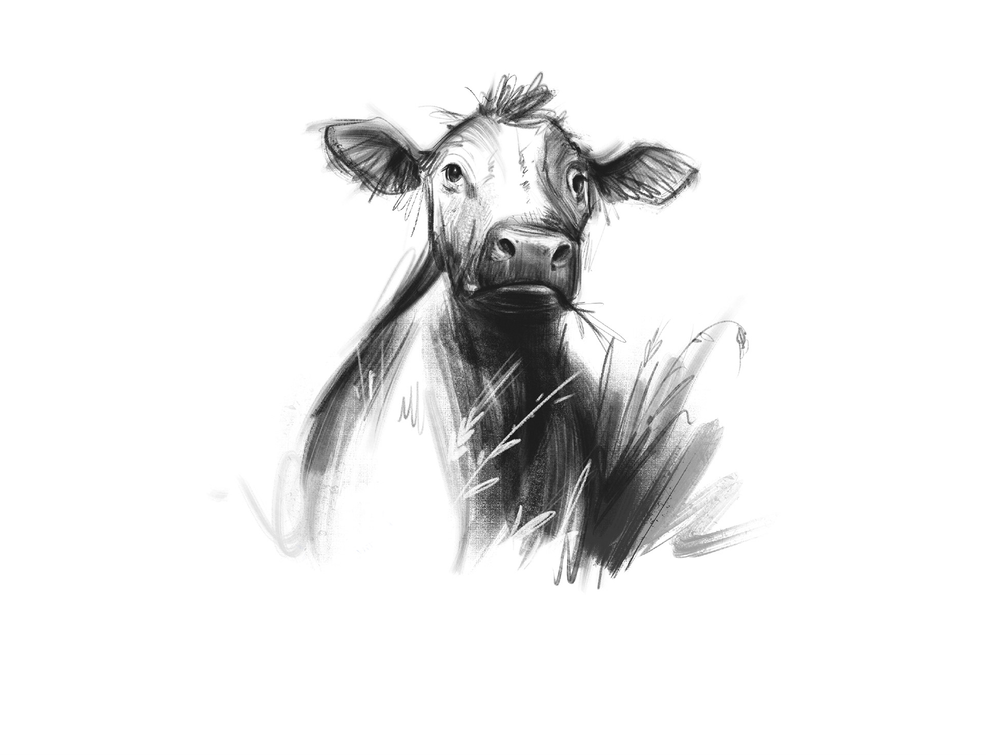 Dairy products design — Изображение №8 — Брендинг, Иллюстрация на Dprofile