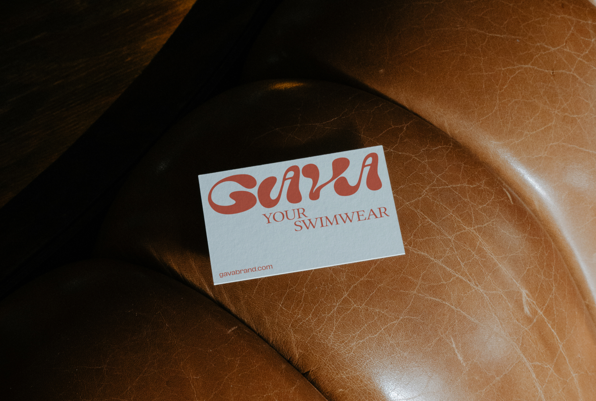 GAVA — Изображение №3 — Брендинг на Dprofile