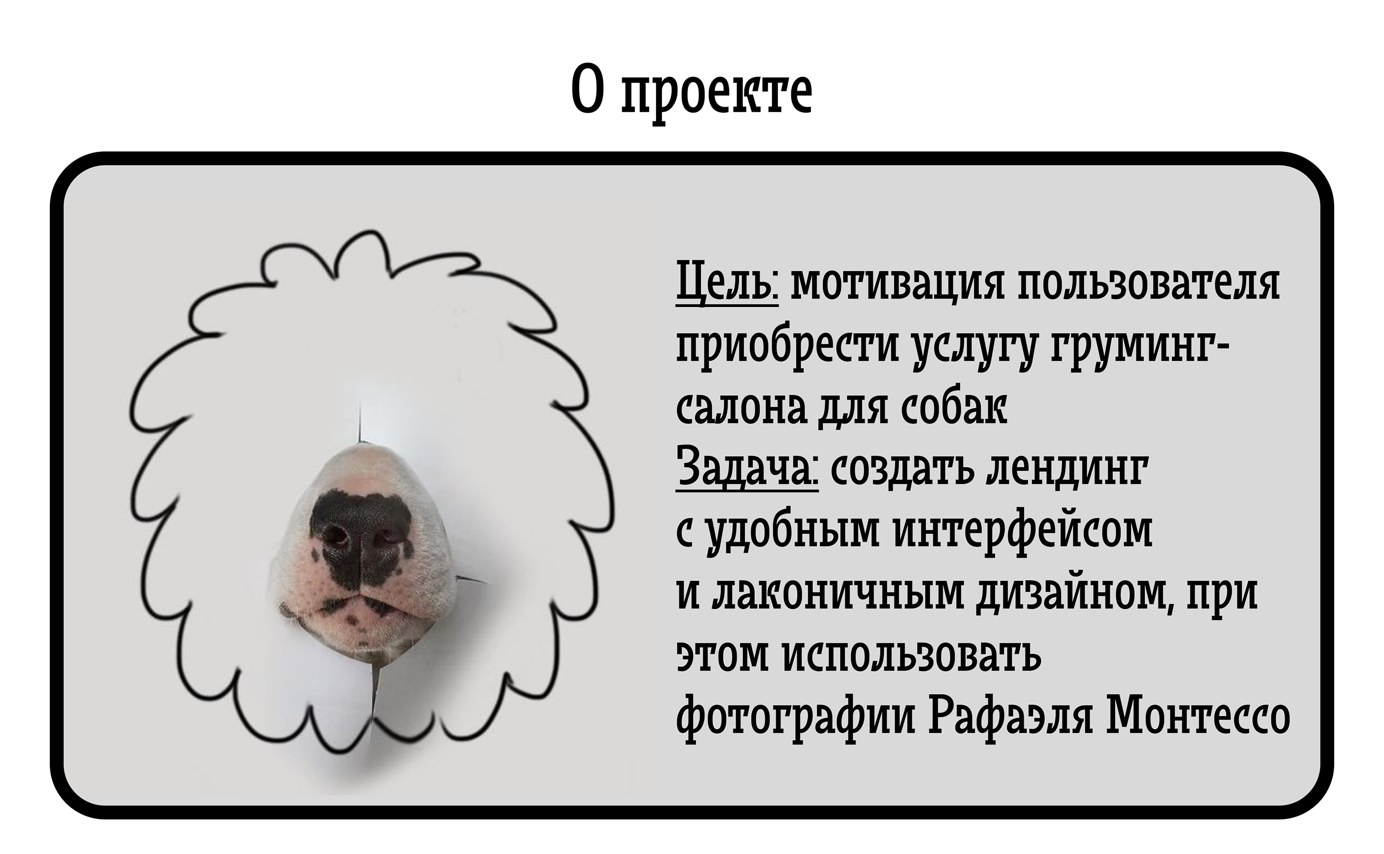 Лендинг на тему груминга для собак — Изображение №2 — Интерфейсы на Dprofile