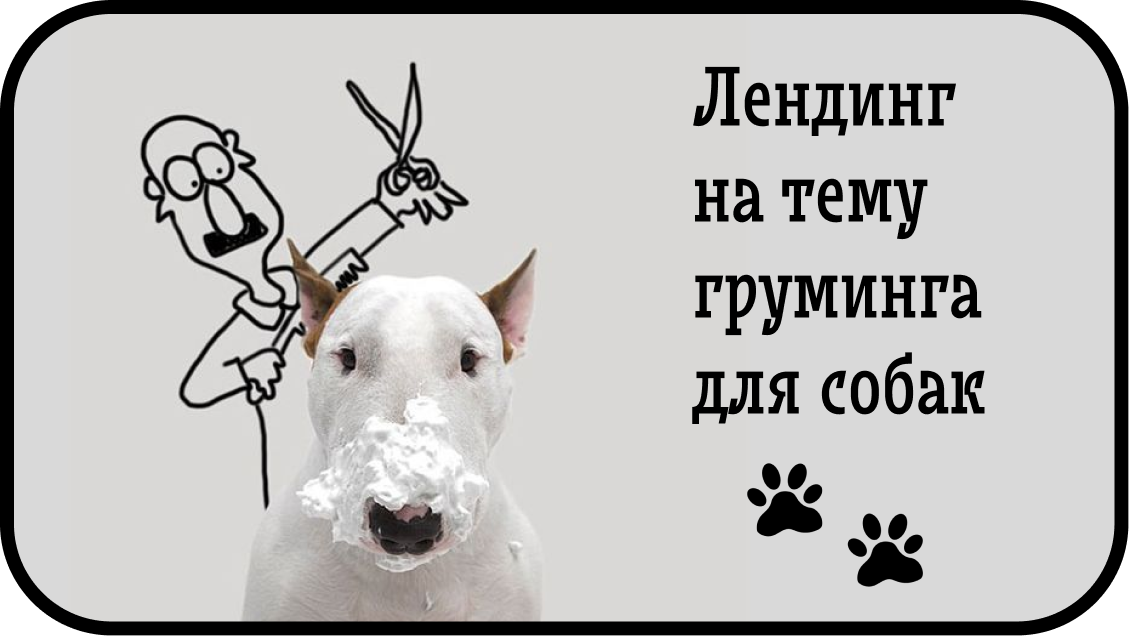 Лендинг на тему груминга для собак — Изображение №1 — Интерфейсы на Dprofile