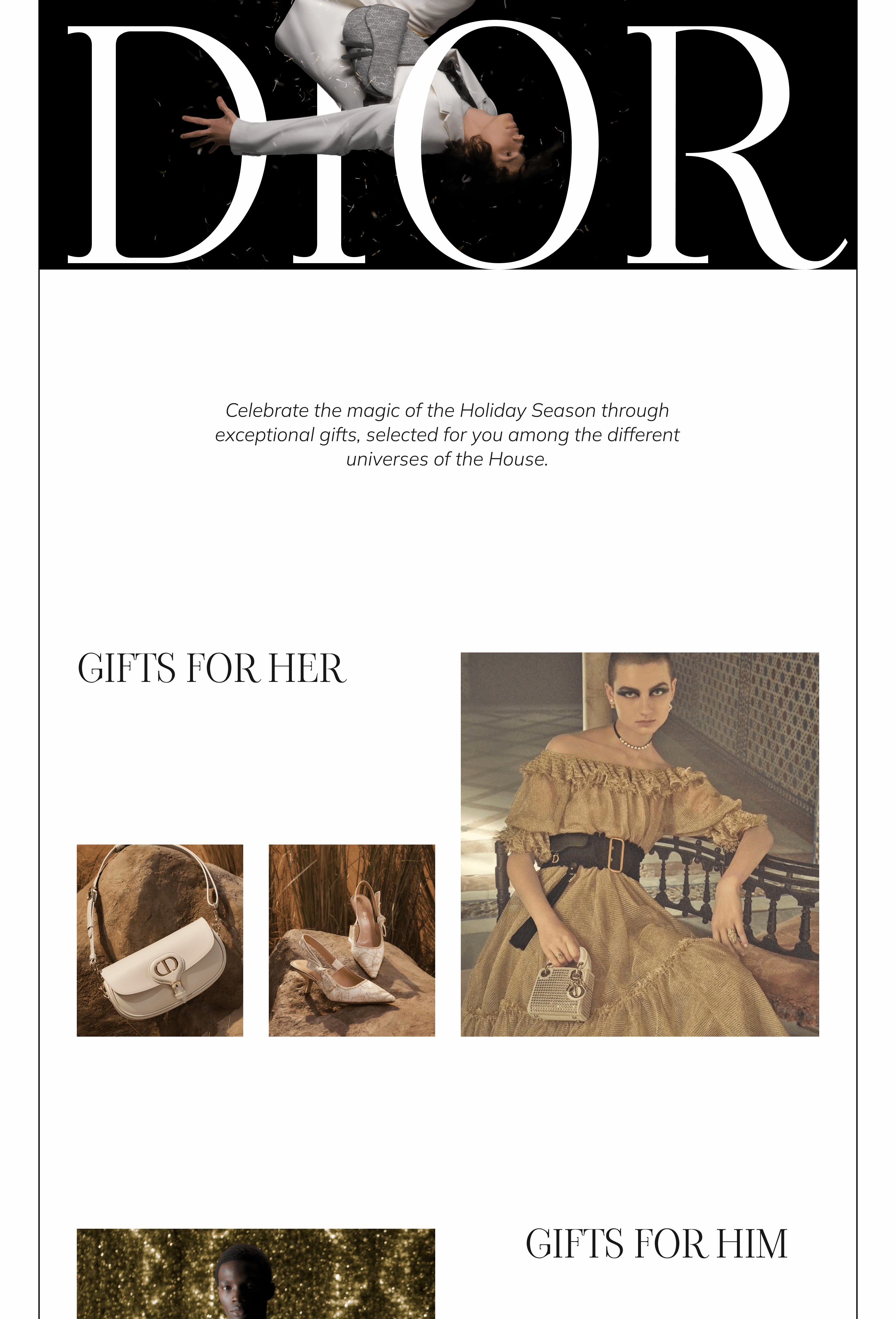 DIOR Redesign Concept — Изображение №2 — Интерфейсы на Dprofile