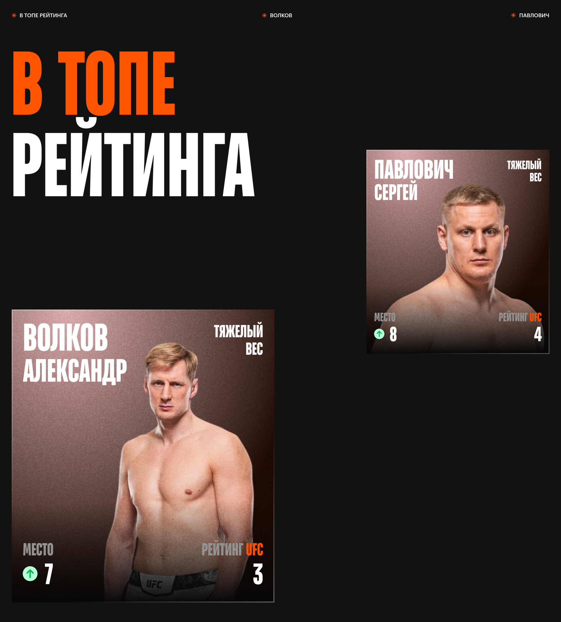 Рейтинг российских бойцов UFC — Изображение №7 — Интерфейсы на Dprofile