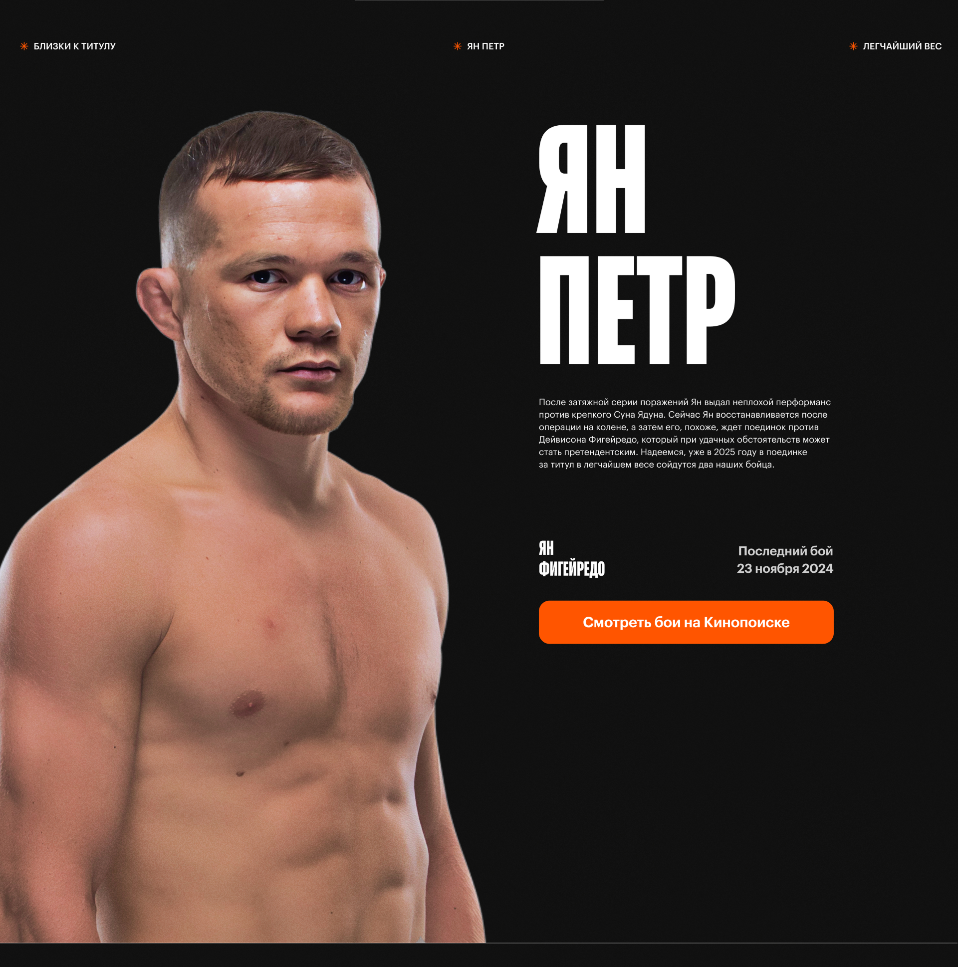 Рейтинг российских бойцов UFC — Изображение №12 — Интерфейсы на Dprofile