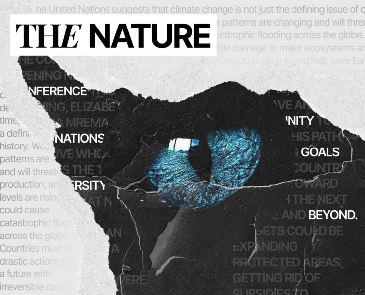 The nature conservancy | Corporate Website — Интерфейсы, Графика на Dprofile