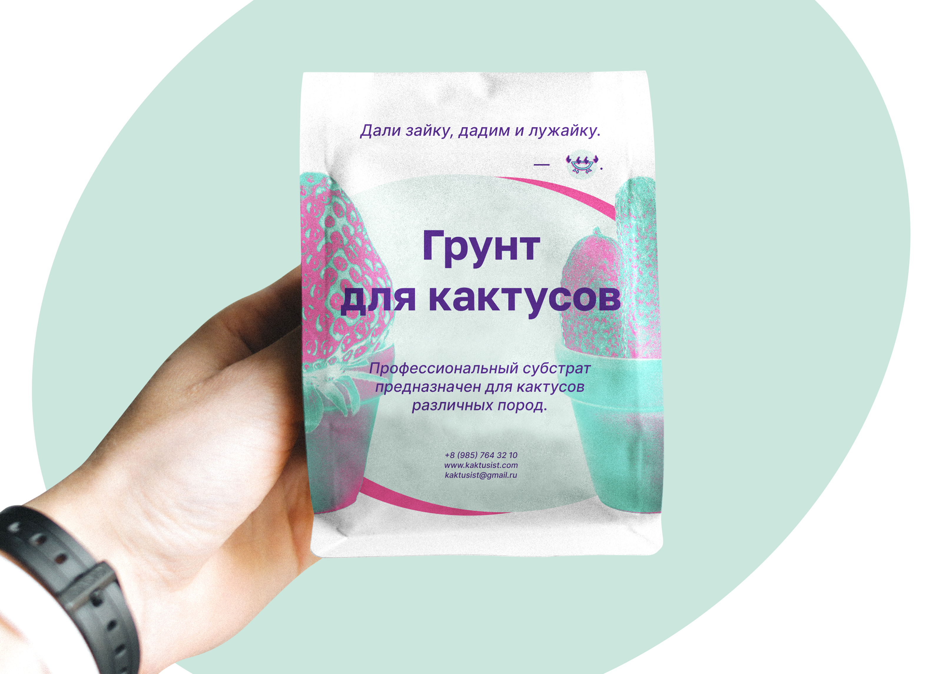Кактусист_Айдентика бренда — Изображение №8 — Брендинг, Иллюстрация на Dprofile