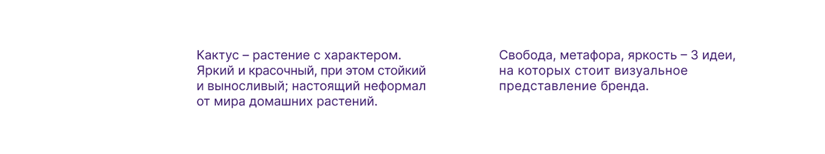 Кактусист_Айдентика бренда — Изображение №10 — Брендинг, Иллюстрация на Dprofile