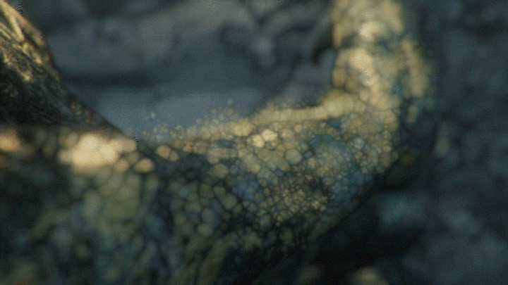 Goldie 3D Animation — Изображение №3 — 3D, Анимация на Dprofile