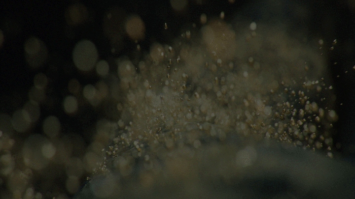 Goldie 3D Animation — Изображение №2 — 3D, Анимация на Dprofile