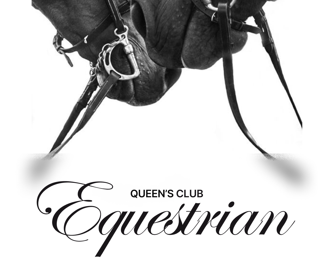 Queen's equestrian club — Интерфейсы на Dprofile