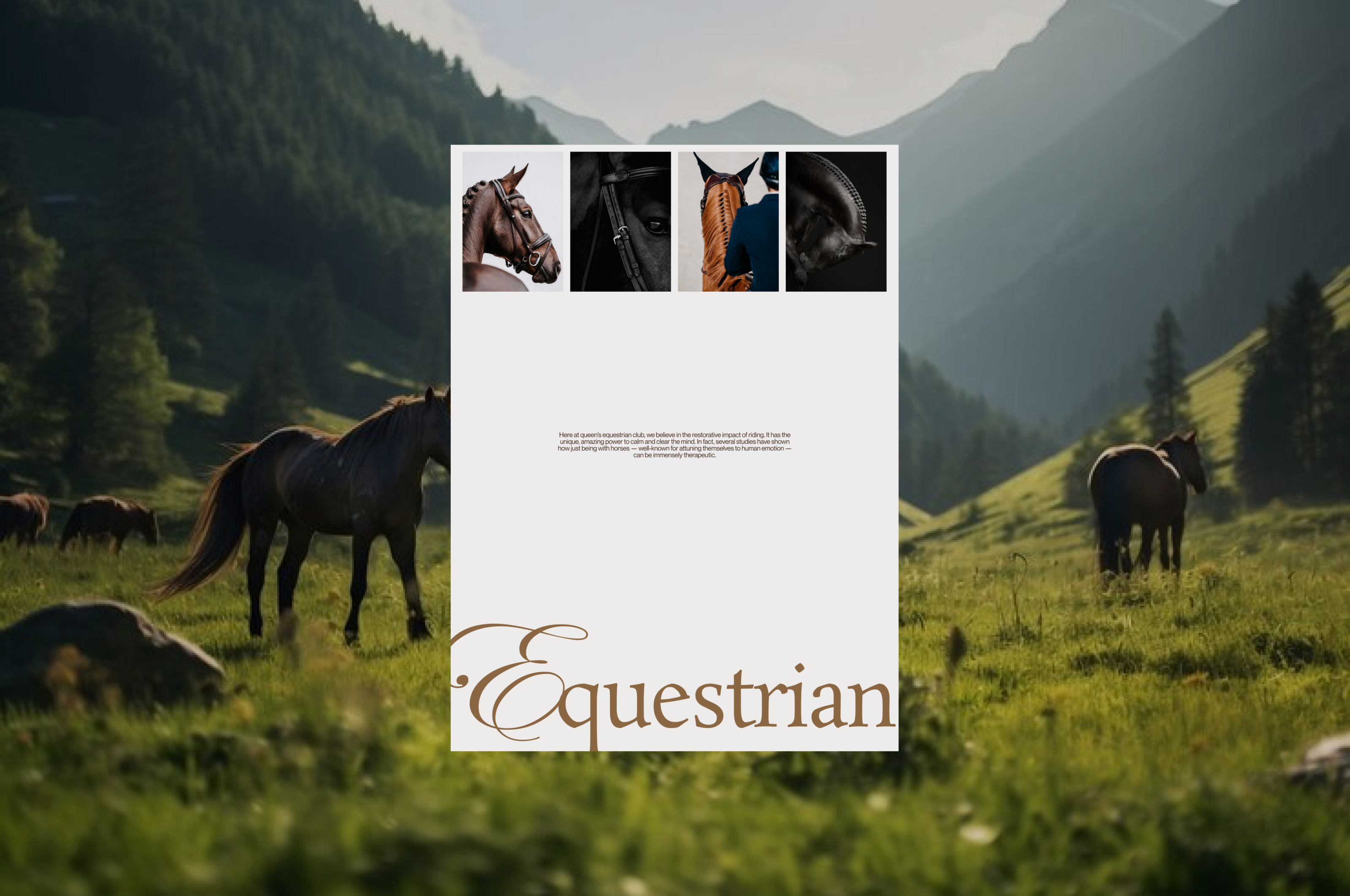 Queen's equestrian club — Изображение №9 — Интерфейсы на Dprofile