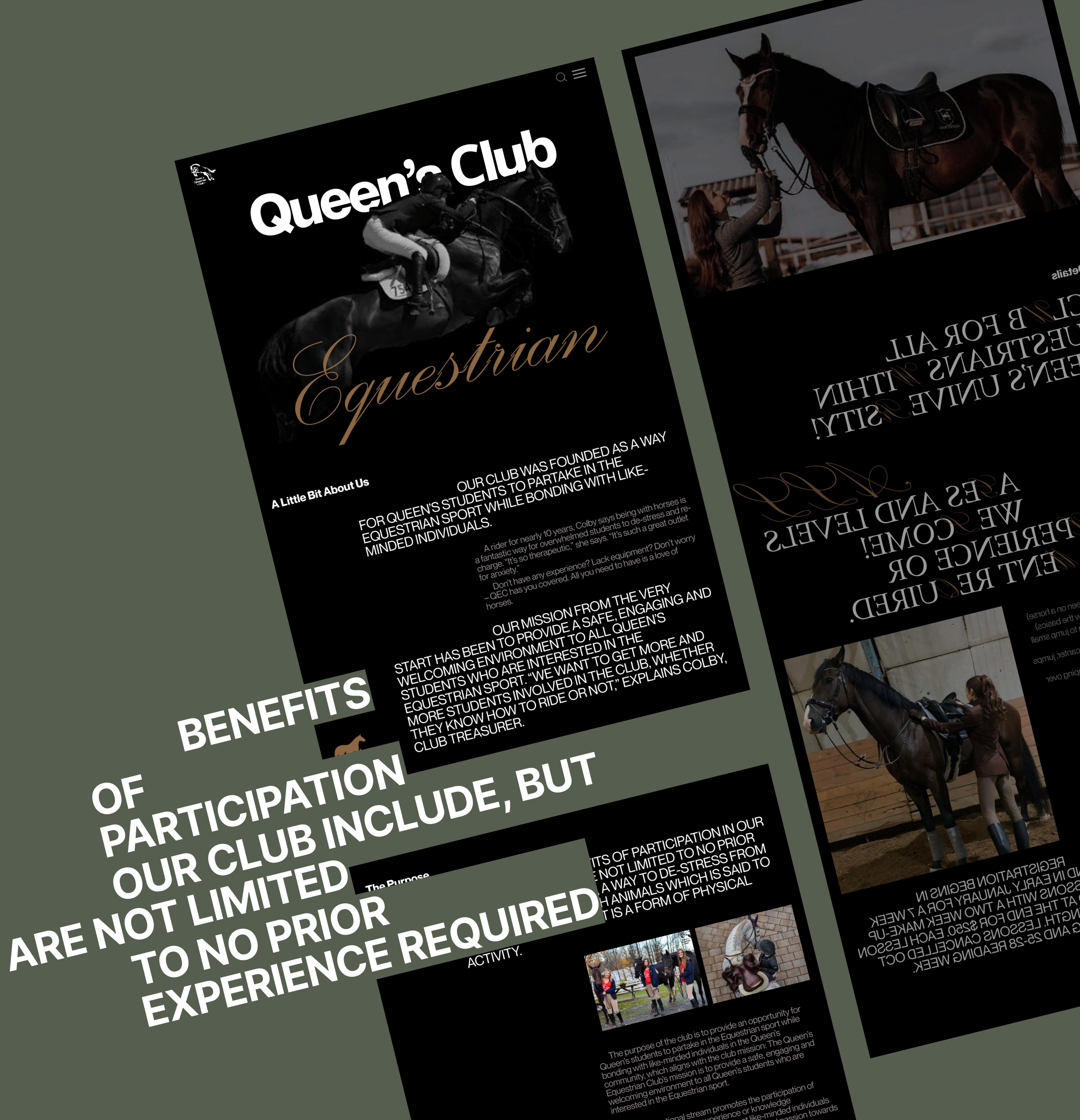Queen's equestrian club — Изображение №7 — Интерфейсы на Dprofile