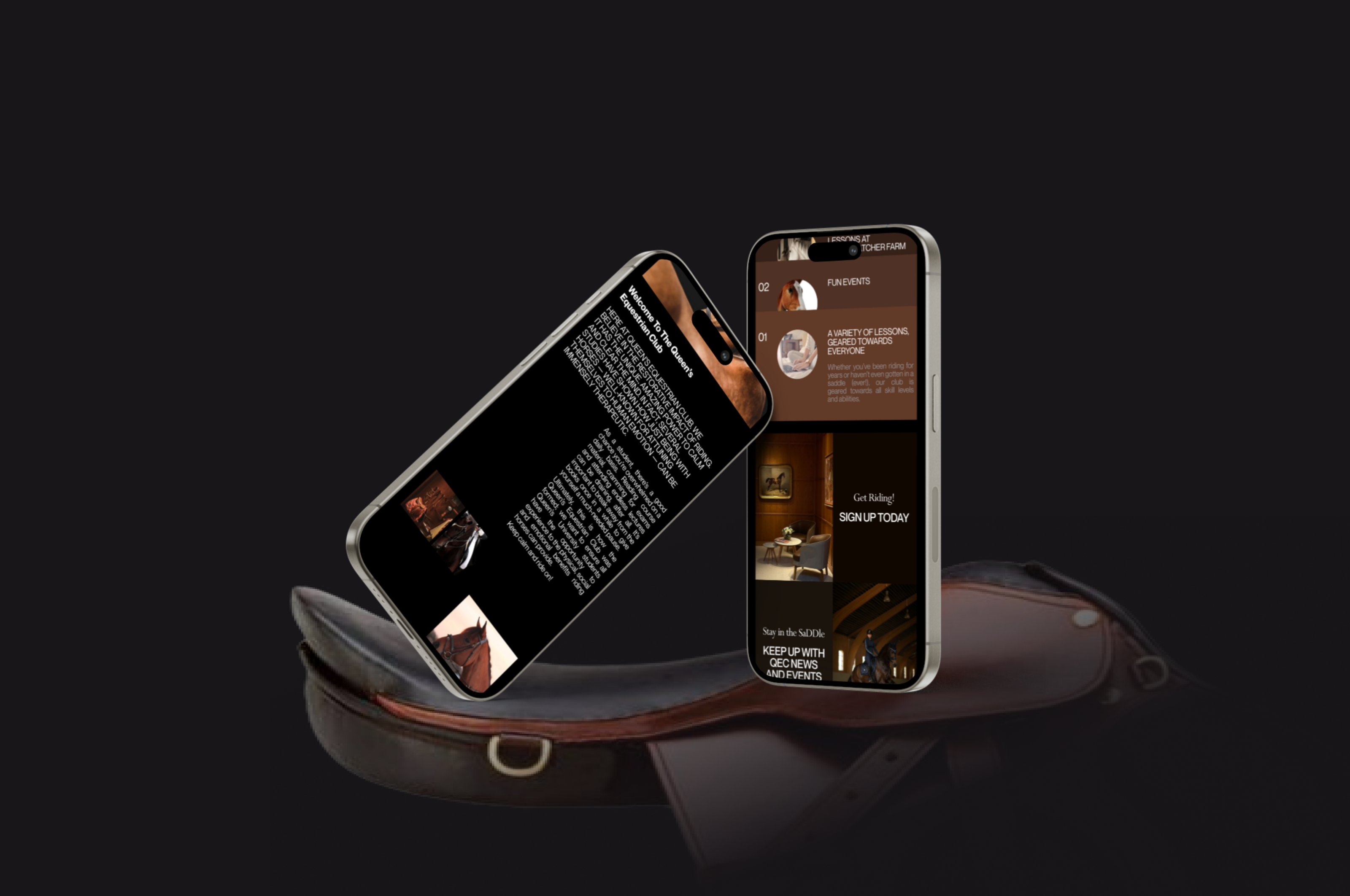 Queen's equestrian club — Изображение №8 — Интерфейсы на Dprofile