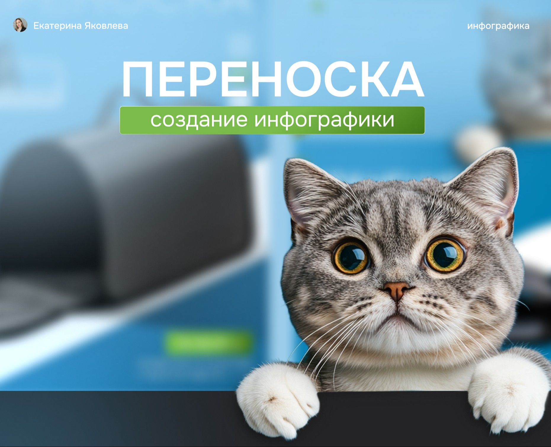 Инфографика|Карточка товара|Переноска для животных — Графика, Маркетинг на Dprofile