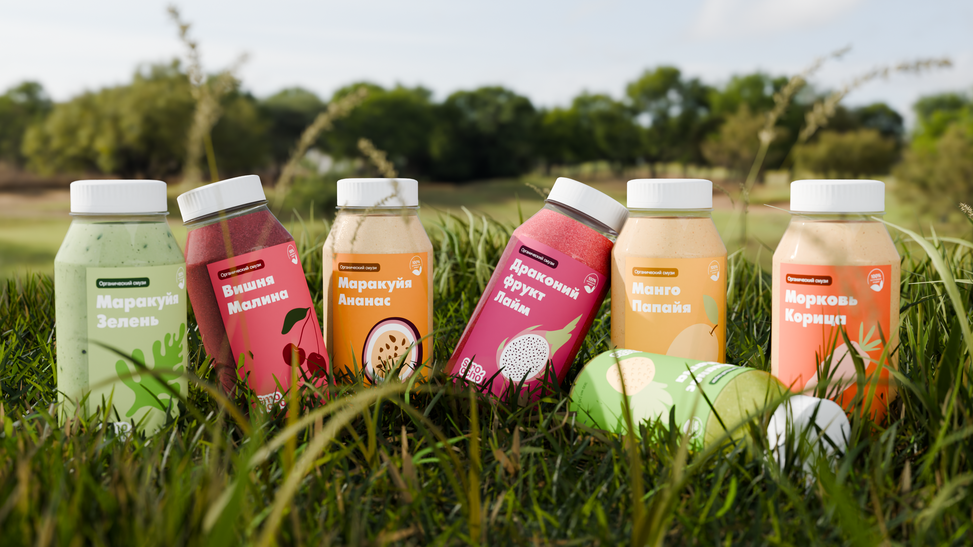 Smoocho | Branding & Packaging smoothies — Изображение №8 — Брендинг, 3D на Dprofile