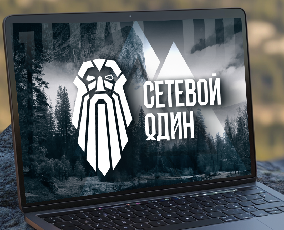 Сетевой Один — Маркетинг на Dprofile