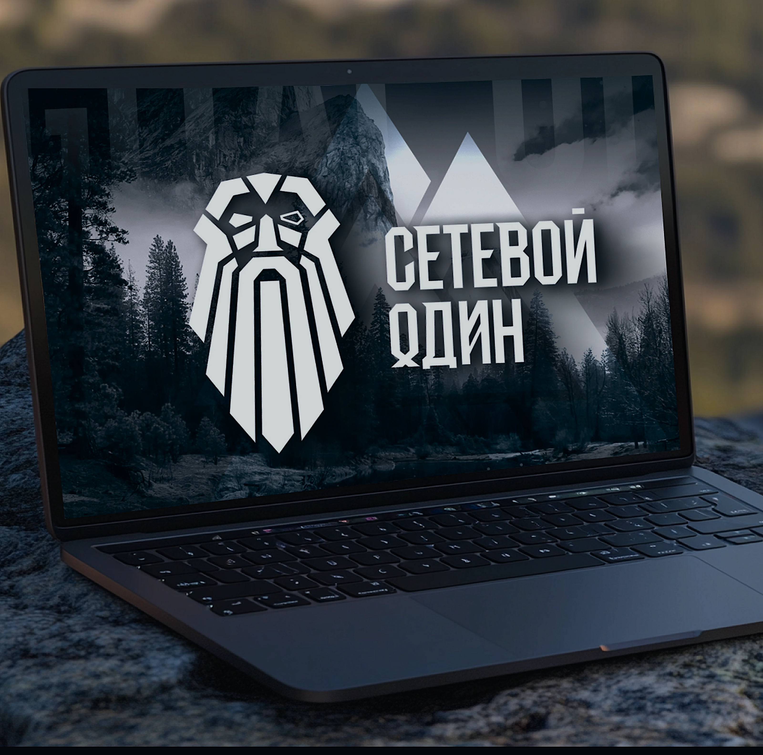 Сетевой Один — Изображение №1 — Маркетинг на Dprofile