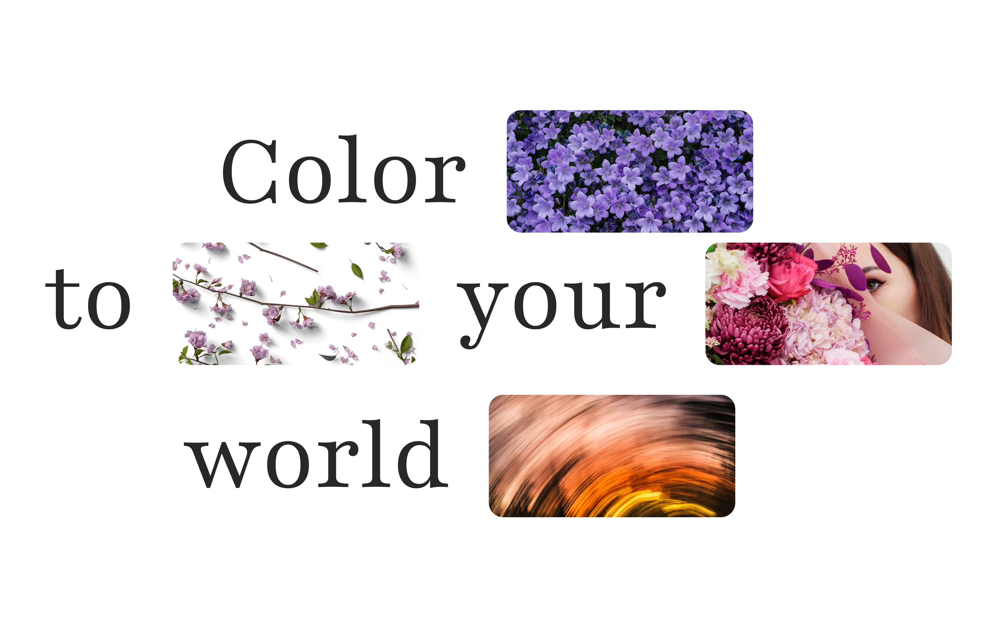 FLOWER SHOP | Brand Identity — Изображение №23 — Брендинг на Dprofile