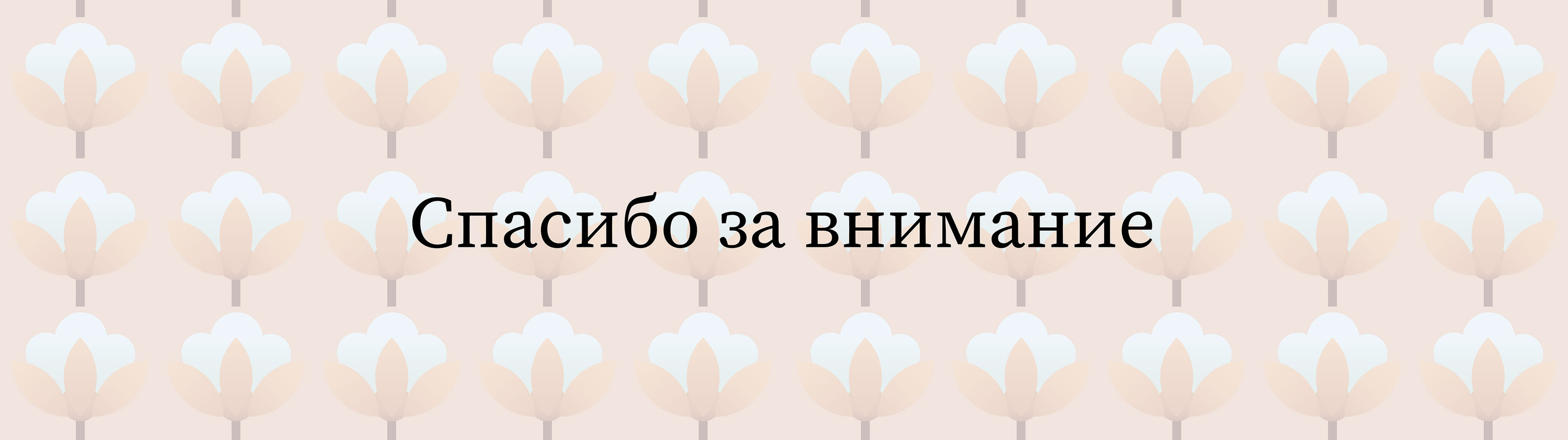 Северный хлопок — Изображение №13 — Брендинг на Dprofile
