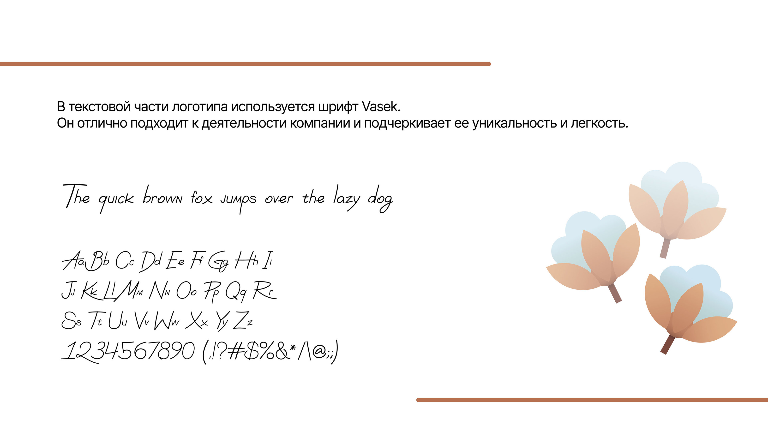 Северный хлопок — Изображение №3 — Брендинг на Dprofile