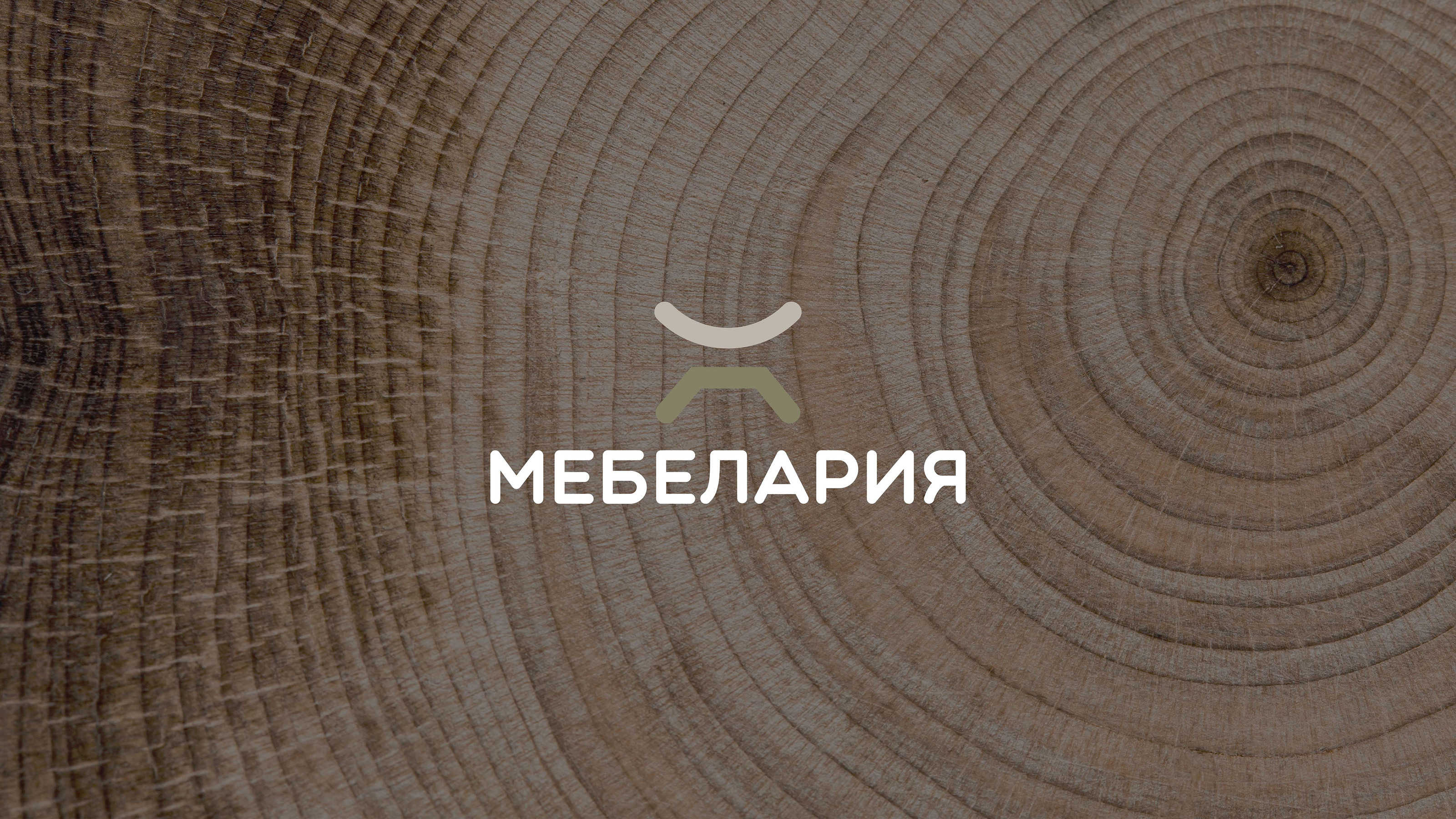 Логотип для мебельного магазина | LOGOTYPE — Изображение №1 — Брендинг на Dprofile