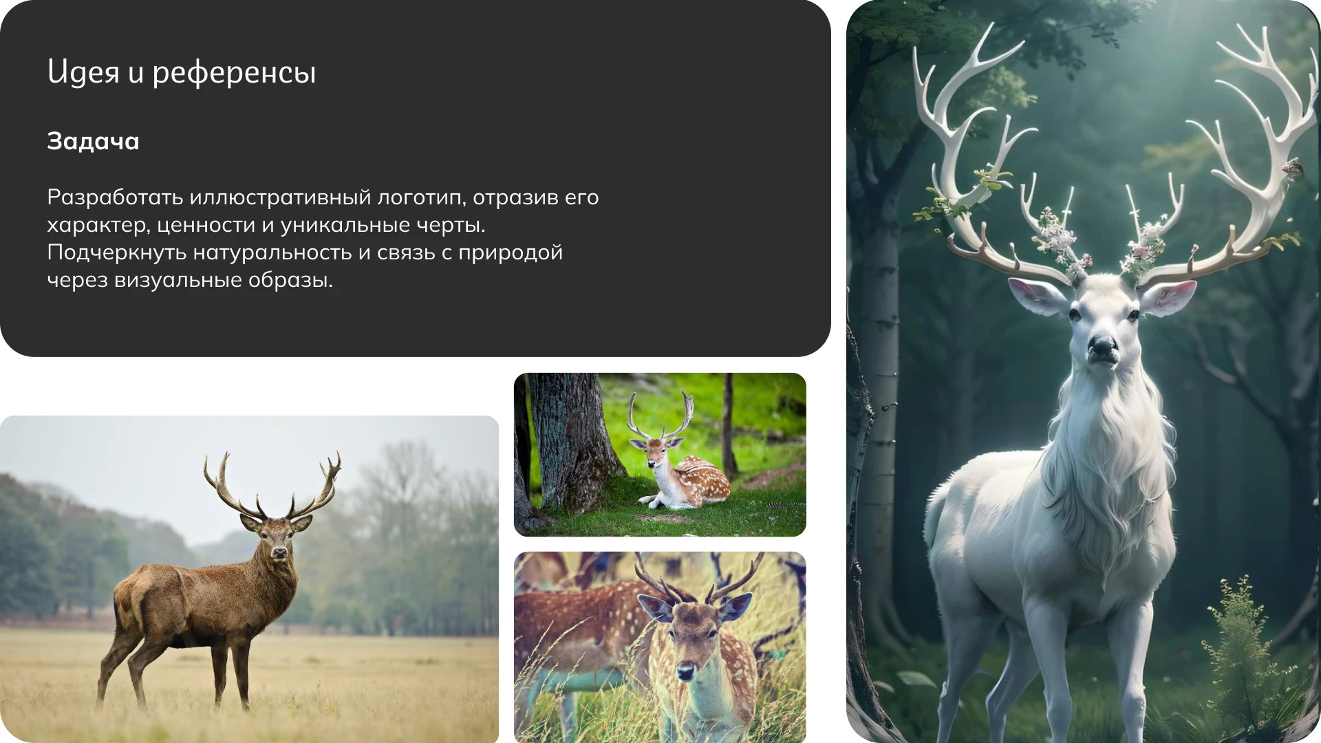 Forest Folk | Логотип | Фирменный стиль | Logo | Visual — Изображение №4 — Брендинг на Dprofile