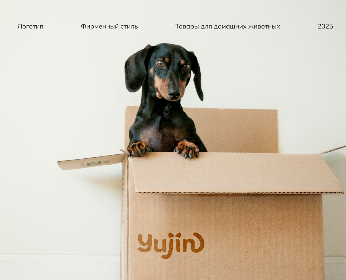 Yujin | Логотип | Фирменный стиль | Logo | Visual — Брендинг на Dprofile