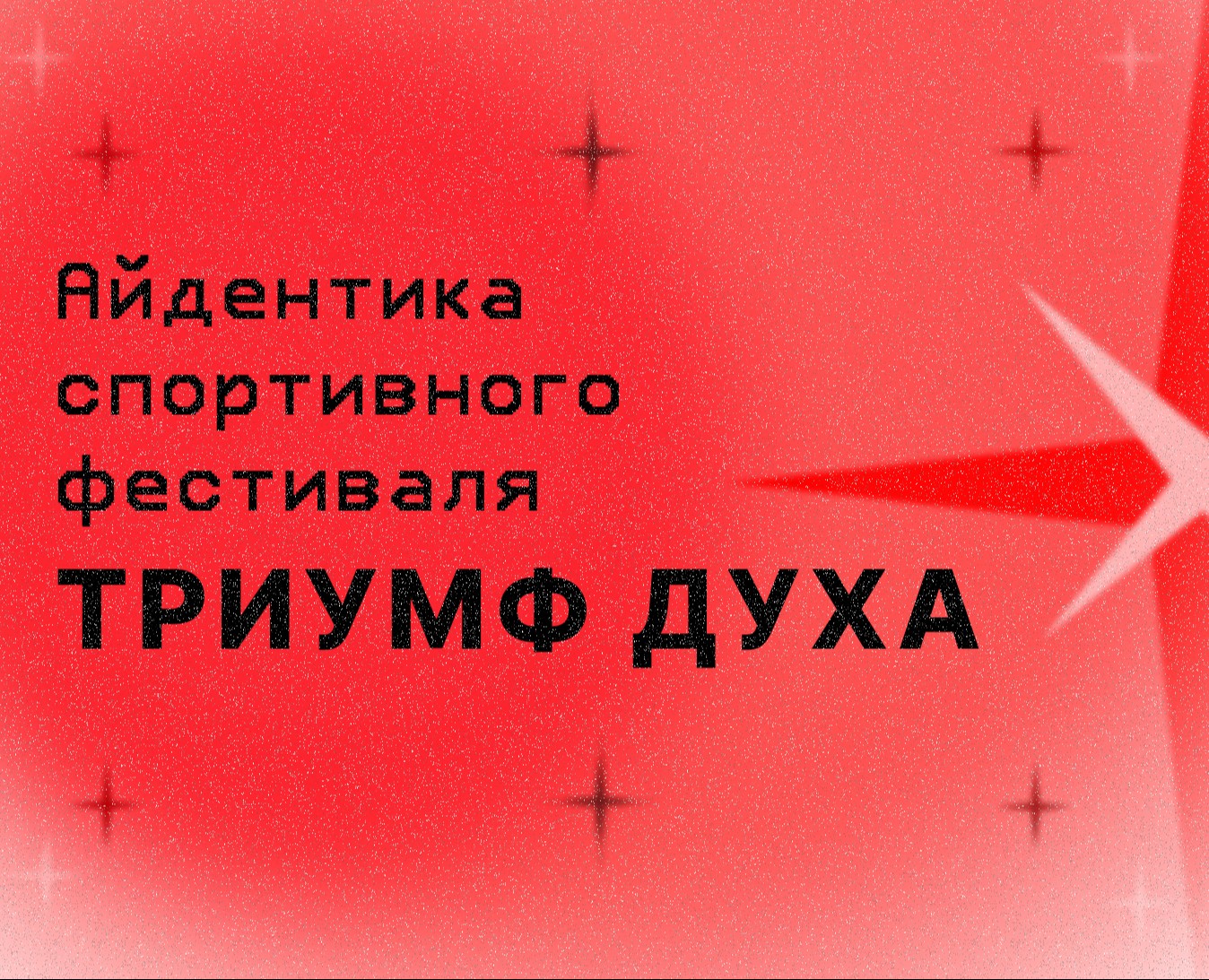 Мерч спортивного фестиваля — Брендинг, Графика на Dprofile