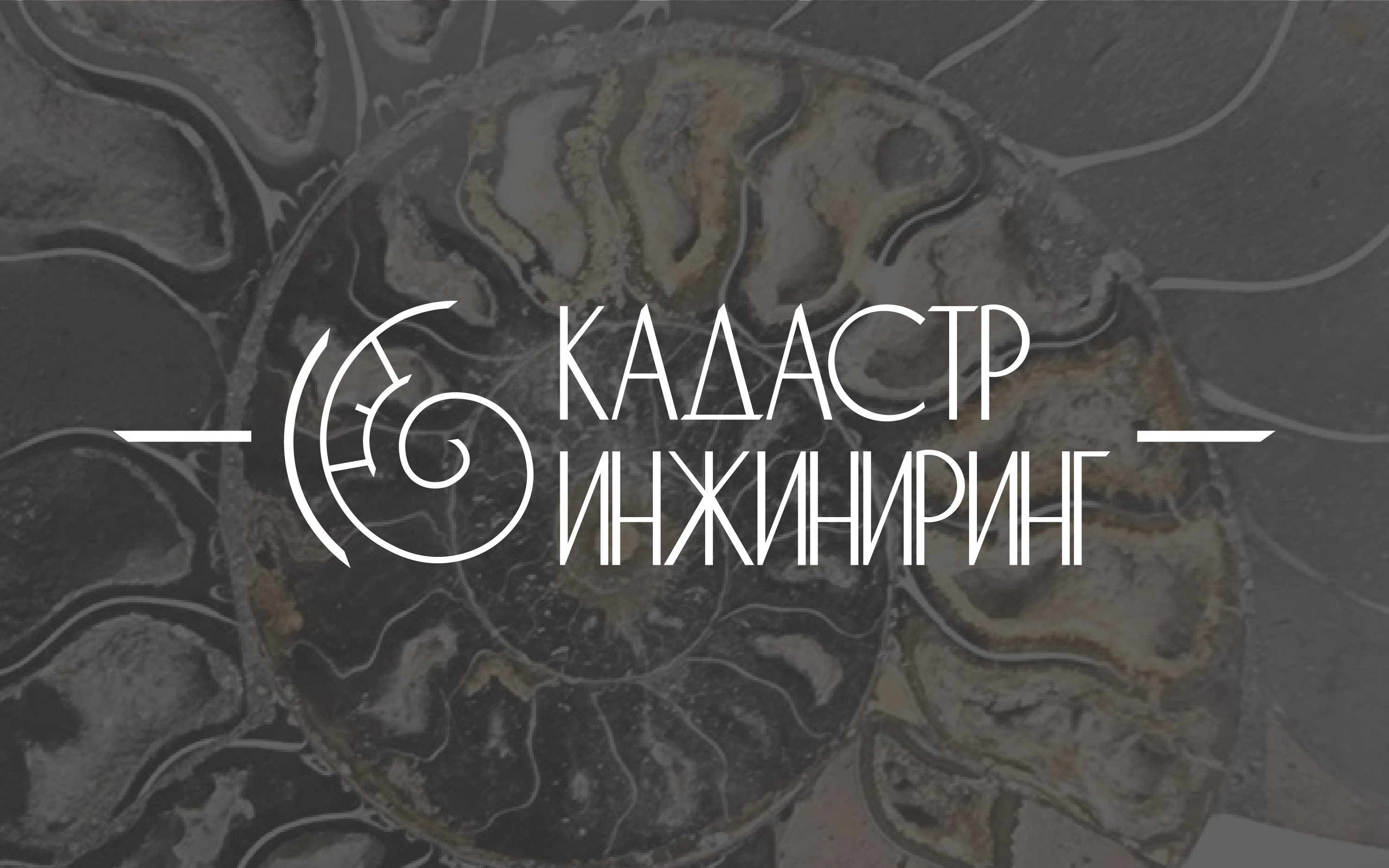 Фирменный стиль компании "Кадастр Инжиниринг" — Изображение №1 — Брендинг, Графика на Dprofile
