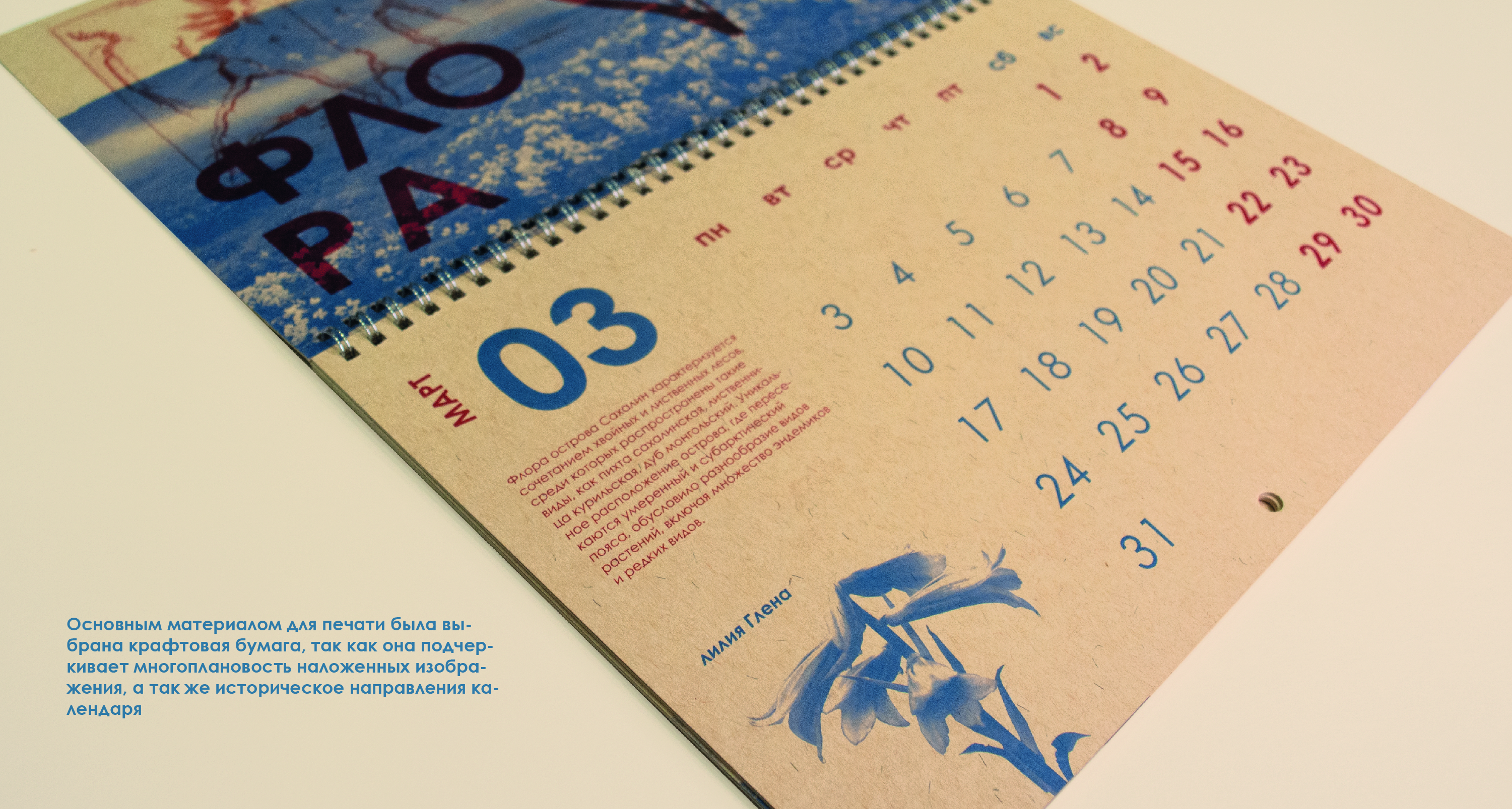 Дизайн-проект календаря - Сахалин 2025 — Изображение №6 — Брендинг, Графика на Dprofile