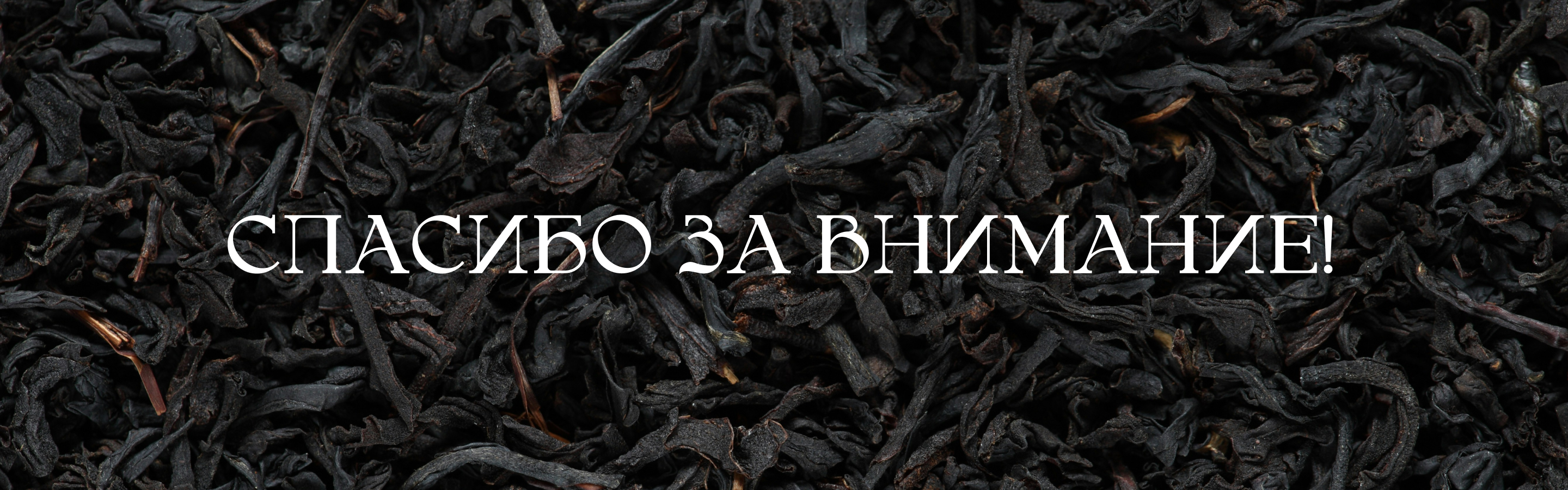 Логотип и упаковка для бренда чая ARTTEA — Изображение №19 — Брендинг на Dprofile