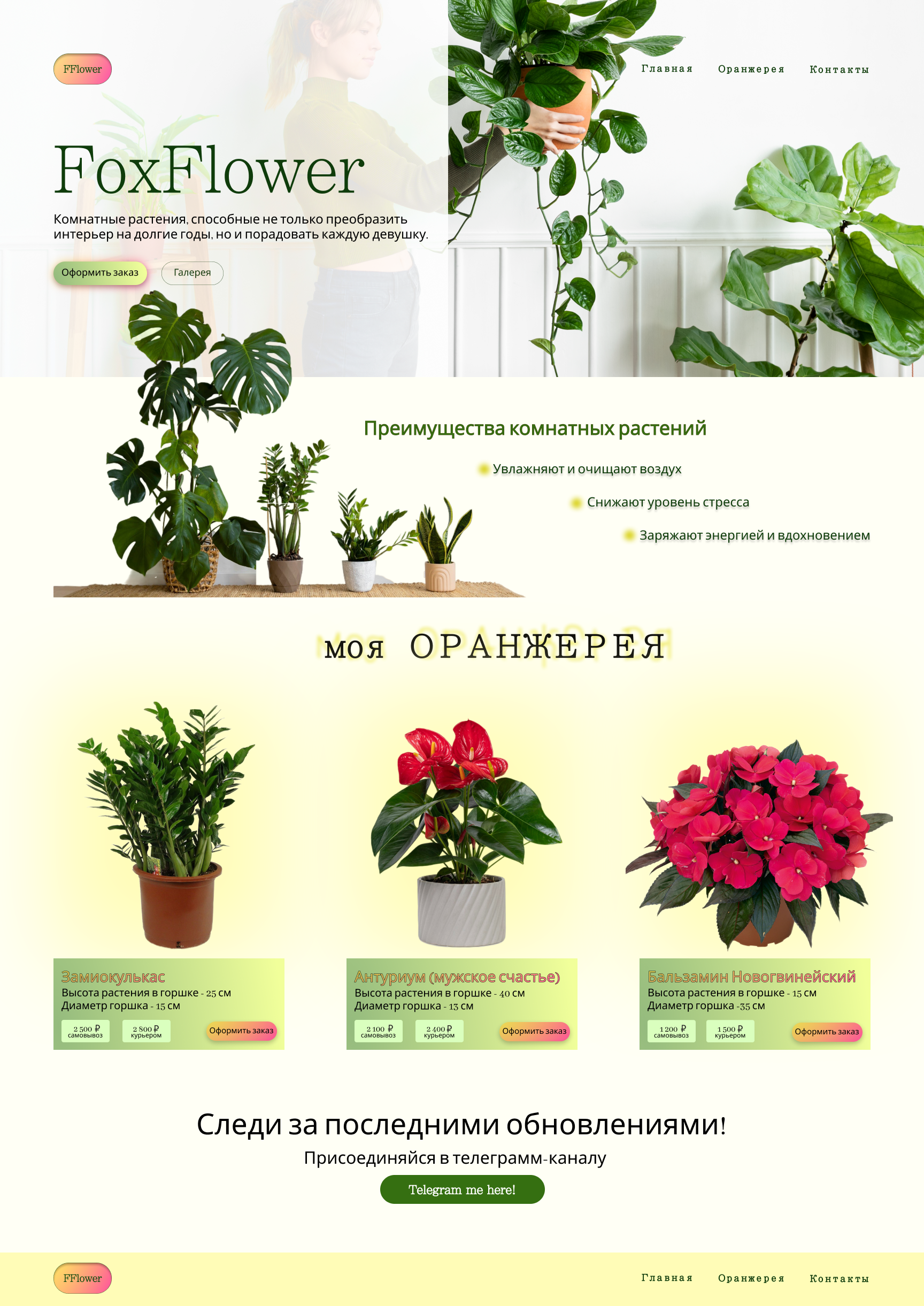 Веб-дизайн магазина цветов — Изображение №3 — Графика, Маркетинг на Dprofile