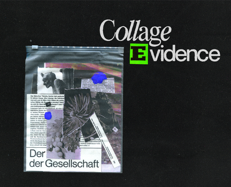 Collage Evidence на Dprofile