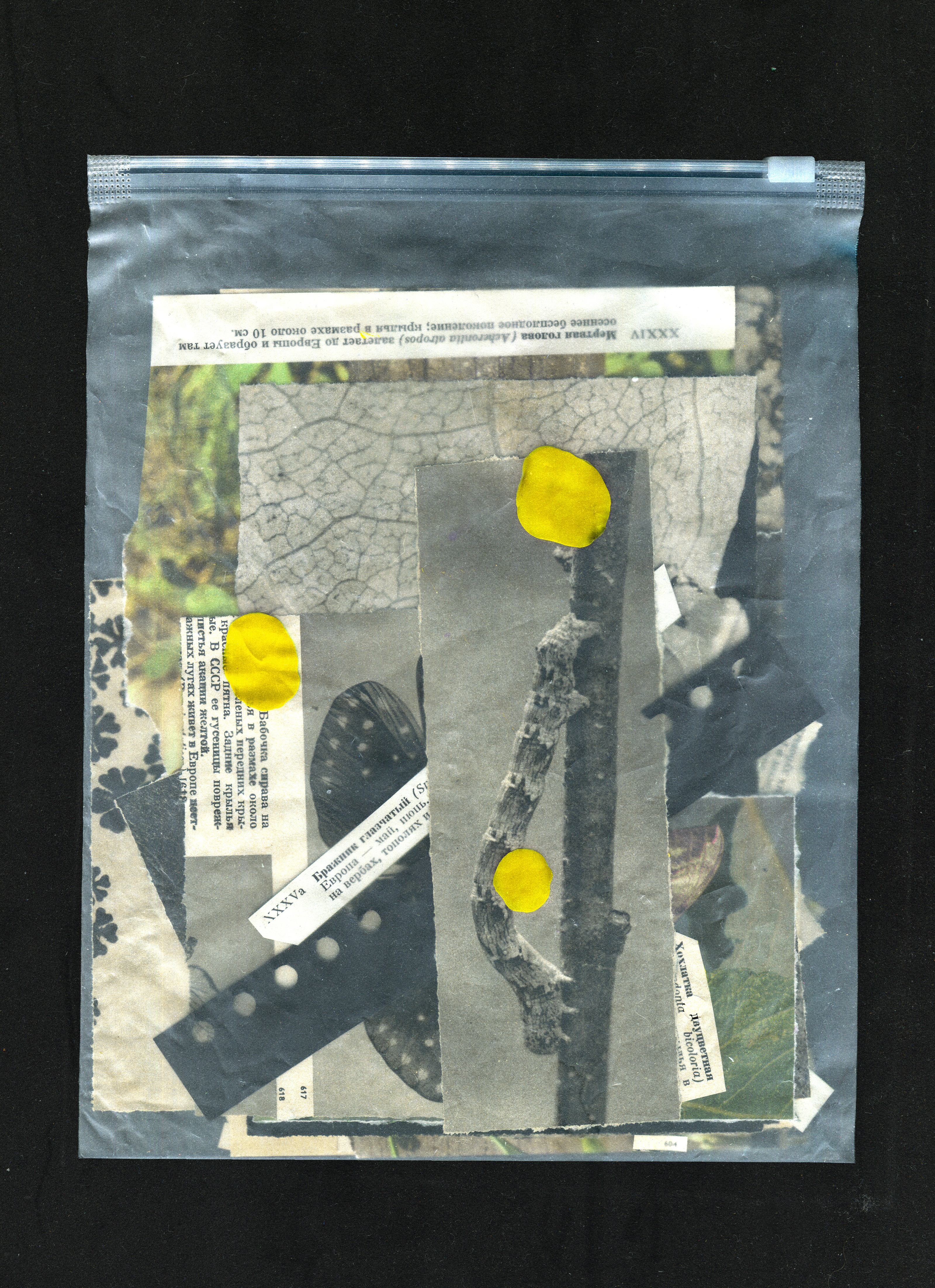 Collage Evidence — Изображение №7 — Графика на Dprofile