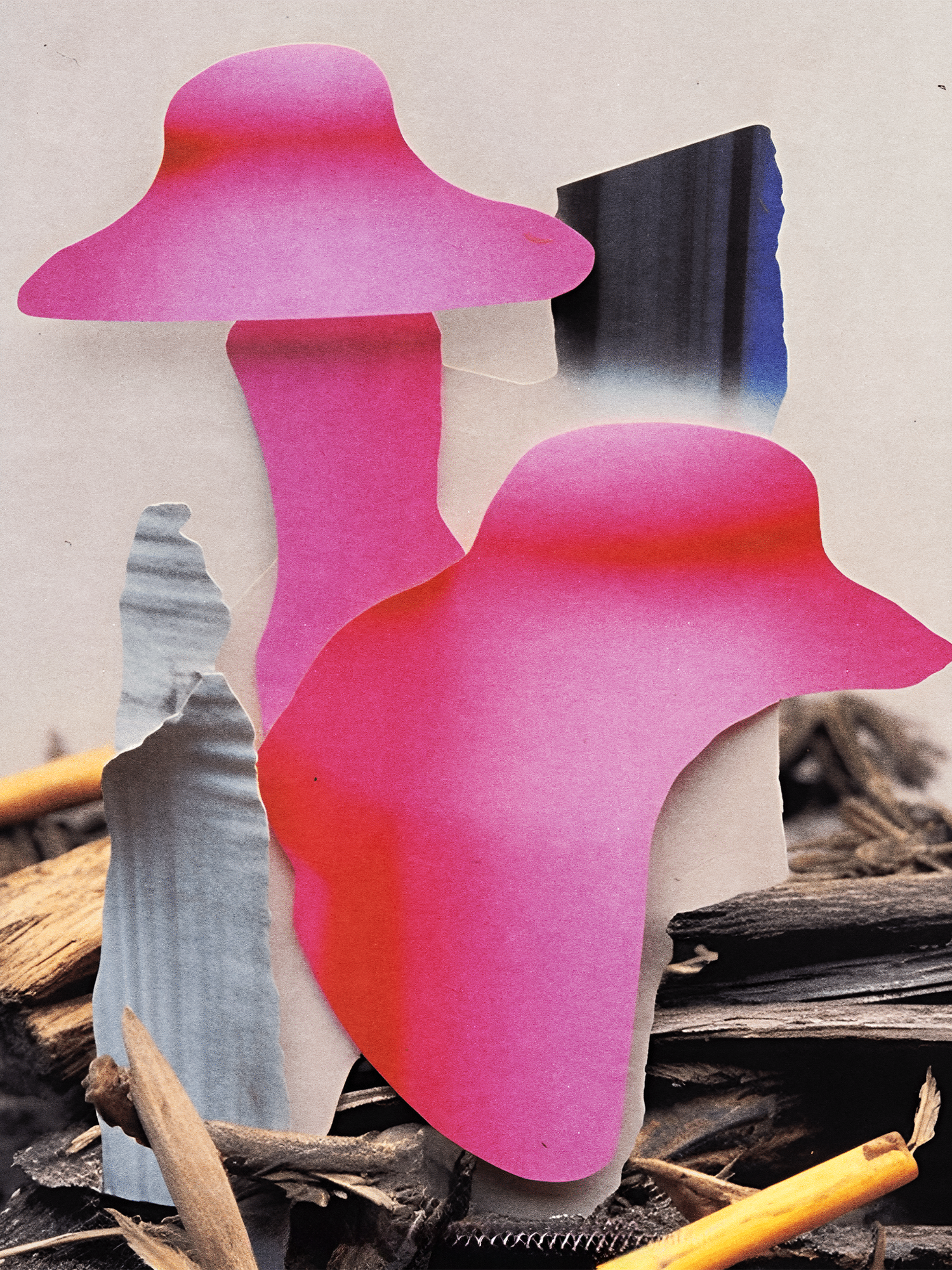 Проект Collage & Mushrooms — Изображение №5 — Иллюстрация, Графика на Dprofile