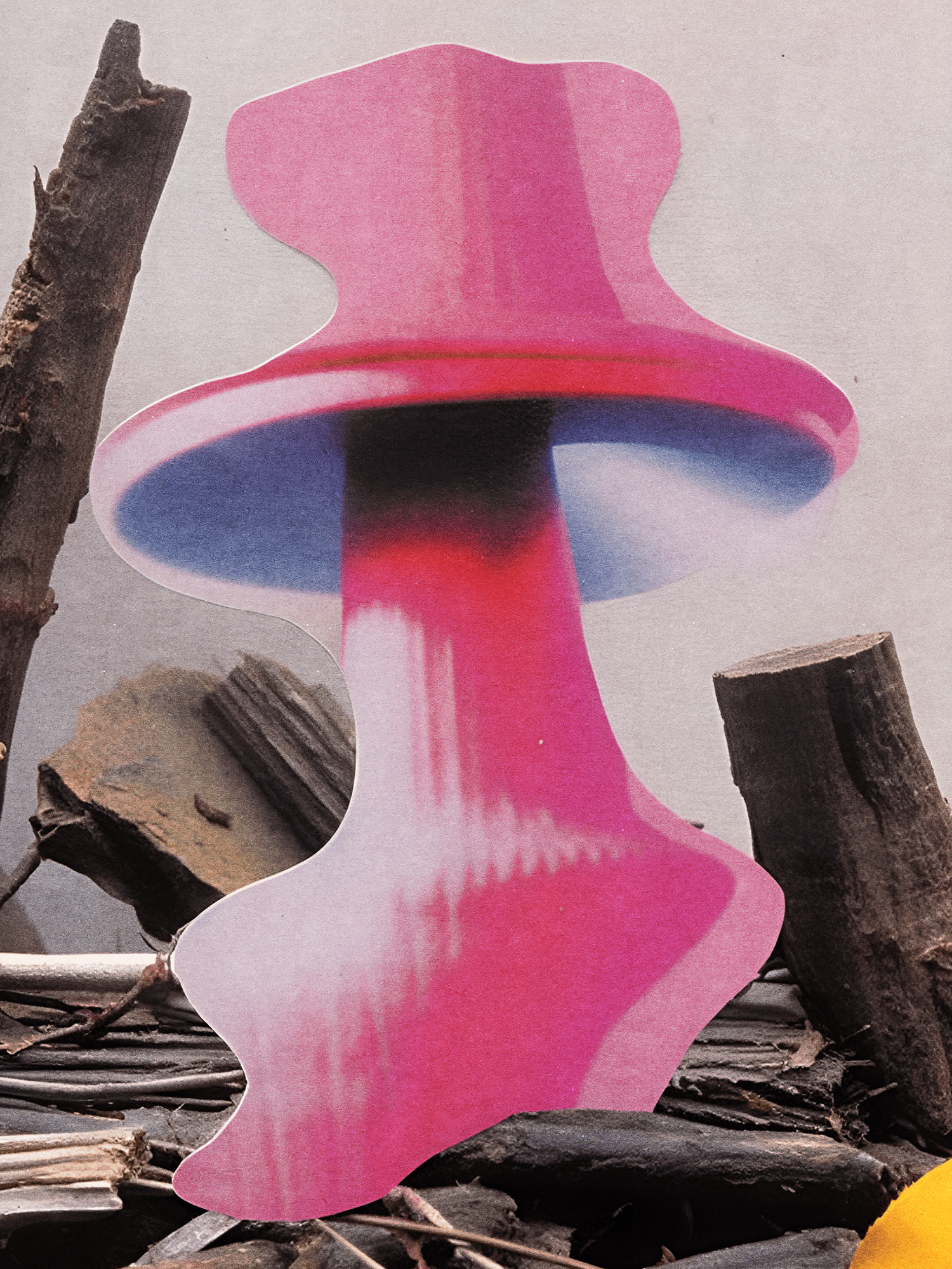 Проект Collage & Mushrooms — Изображение №4 — Иллюстрация, Графика на Dprofile